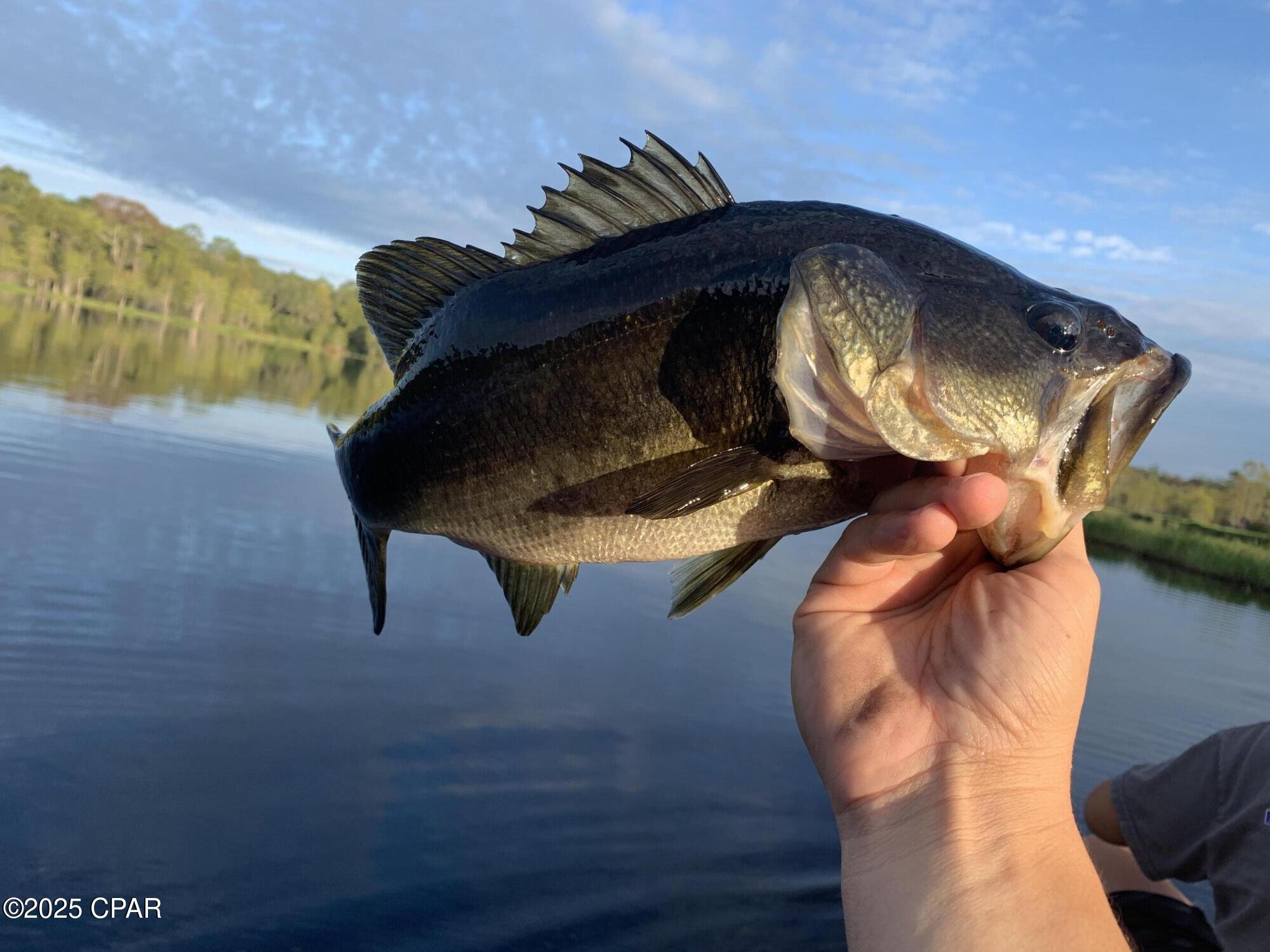 Image 32 For Lot 37 Cove Road