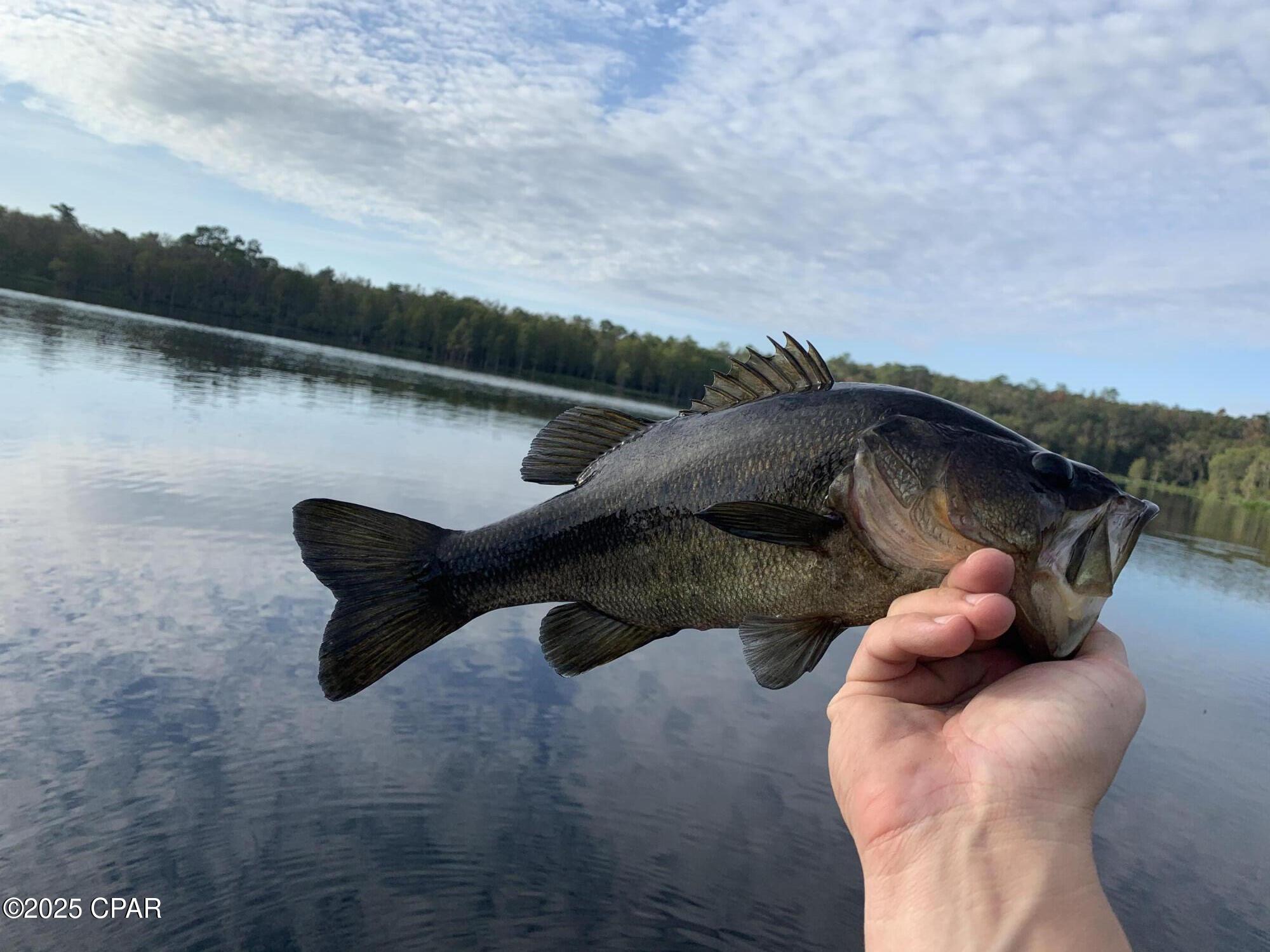 Image 34 For Lot 37 Cove Road