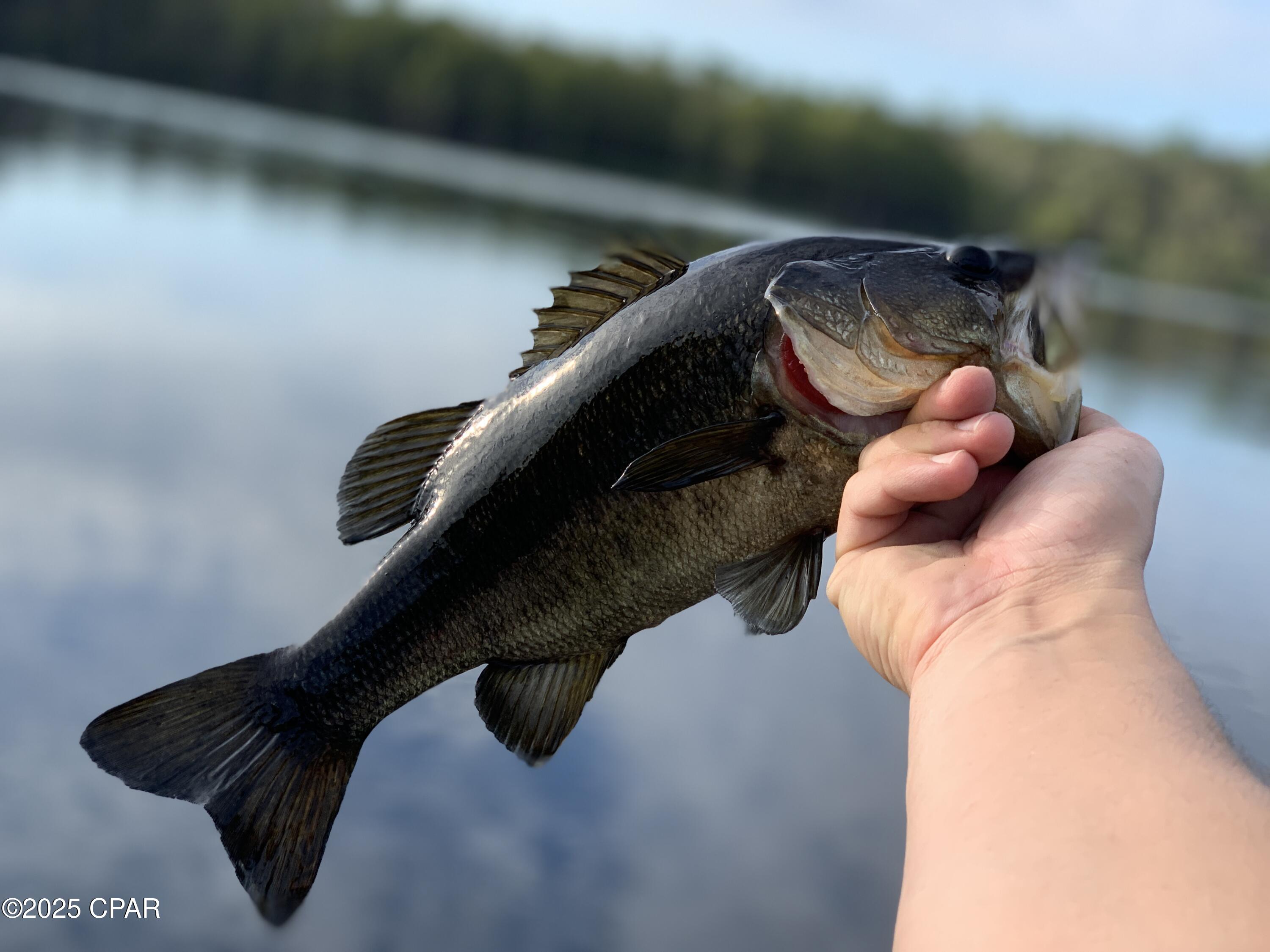 Image 35 For Lot 37 Cove Road