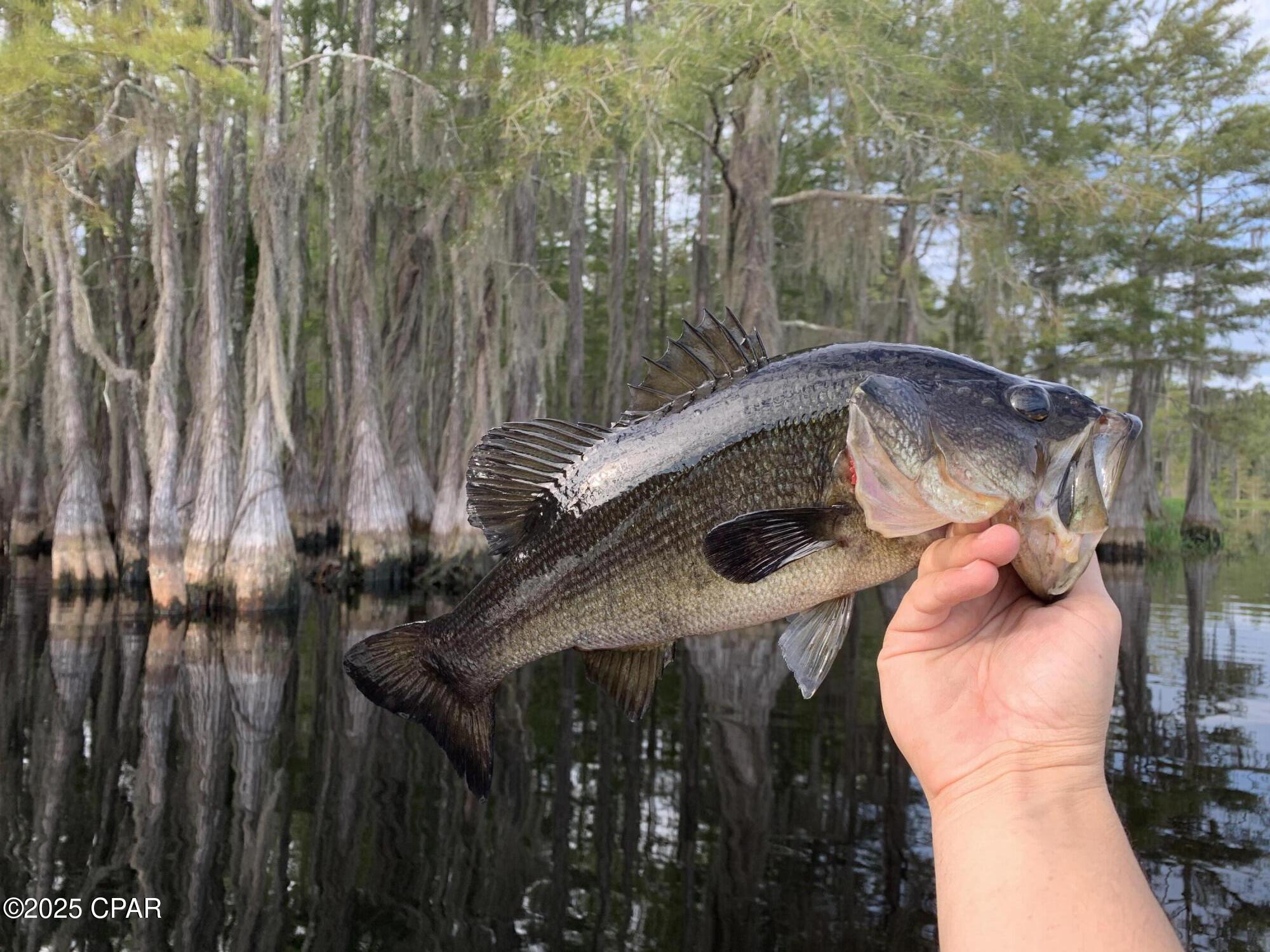 Image 36 For Lot 37 Cove Road