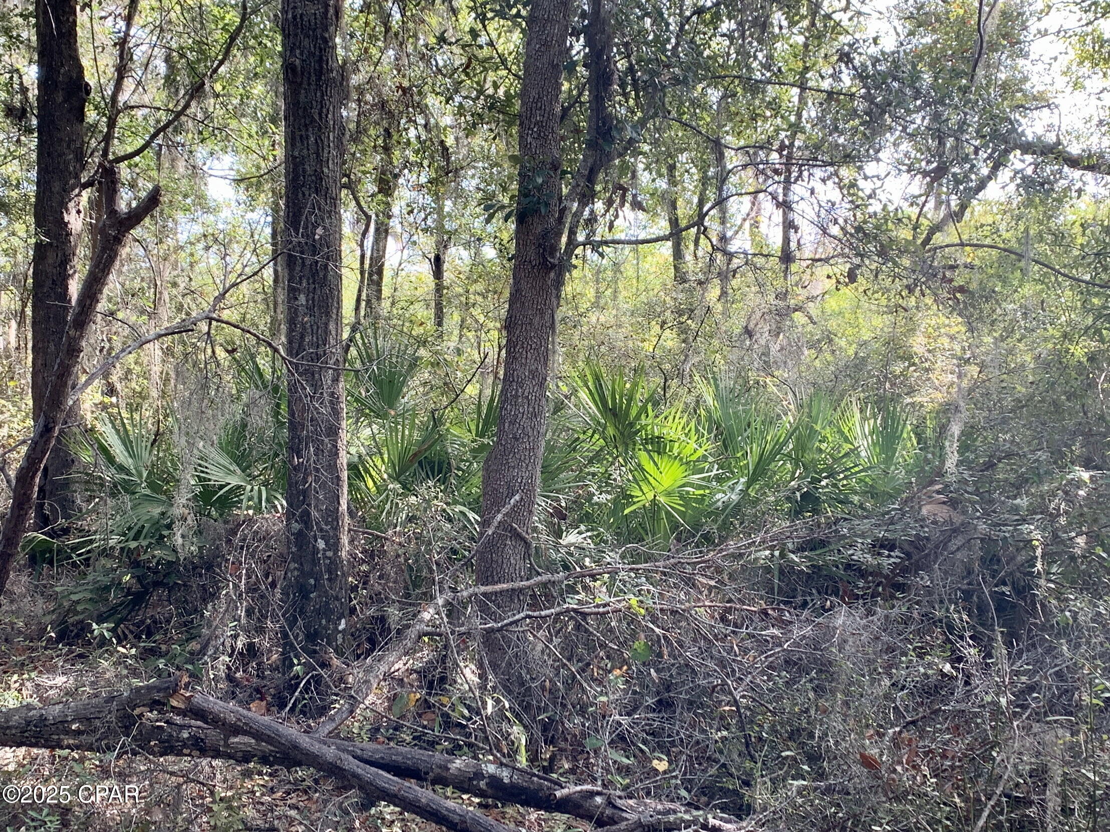 Image 6 For Lot 37 Cove Road