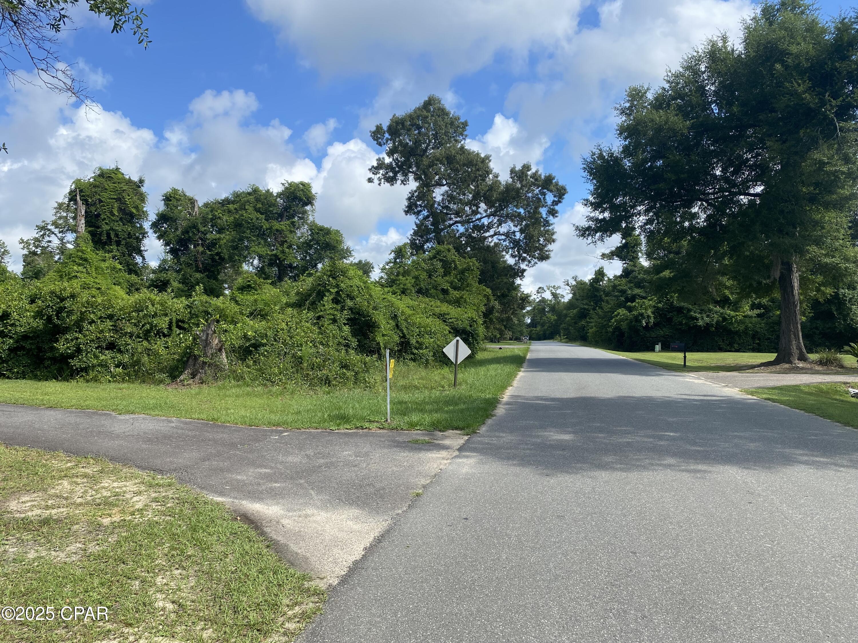 Image 2 For 0000 Magnolia Blossom Lane 2