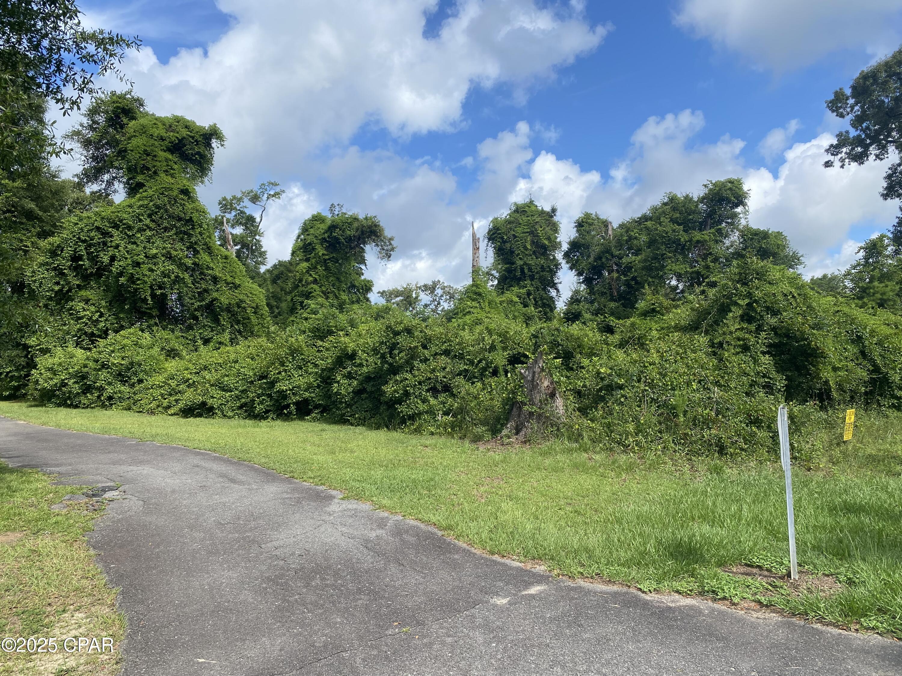 Image 3 For 0000 Magnolia Blossom Lane 2