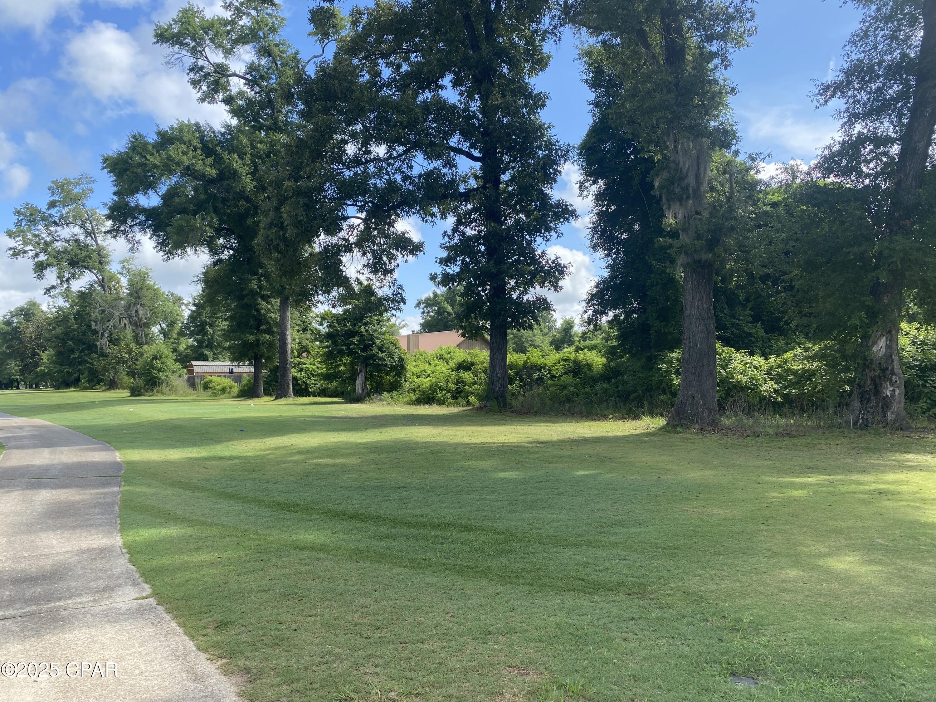 Image 4 For 0000 Magnolia Blossom Lane 2