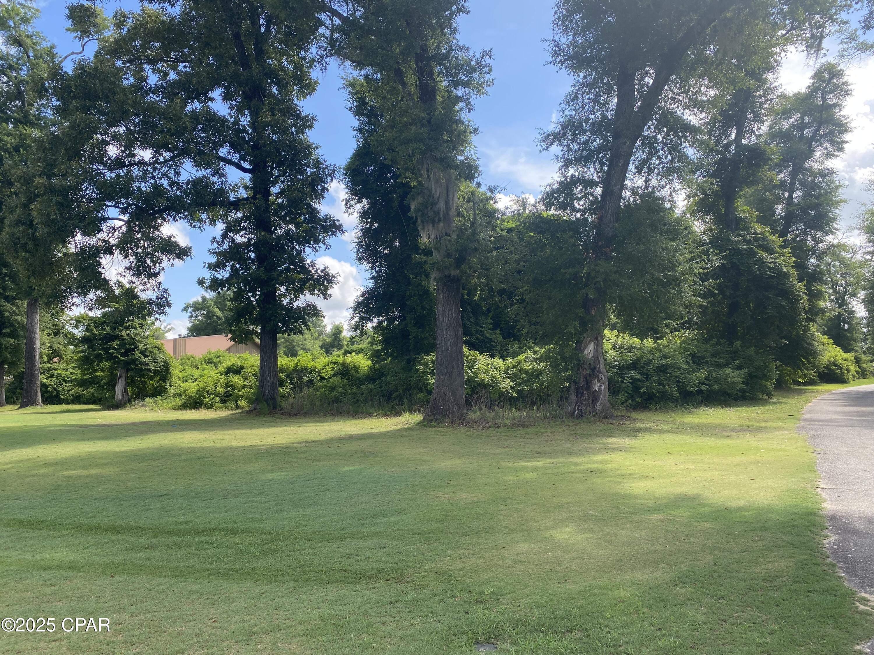 Image 5 For 0000 Magnolia Blossom Lane 2