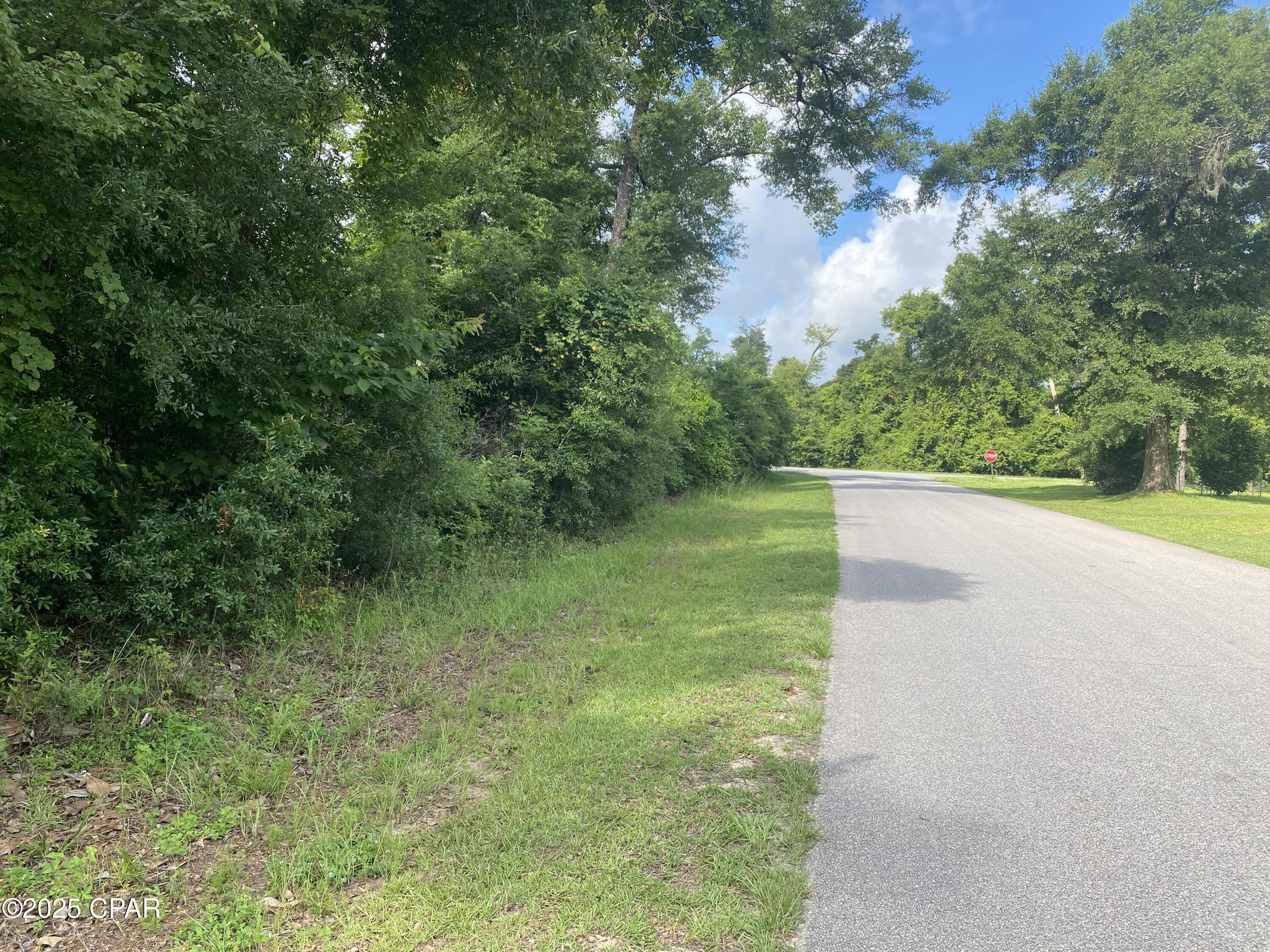 Details for 0000 Oak Drive 13, Marianna, FL 32446