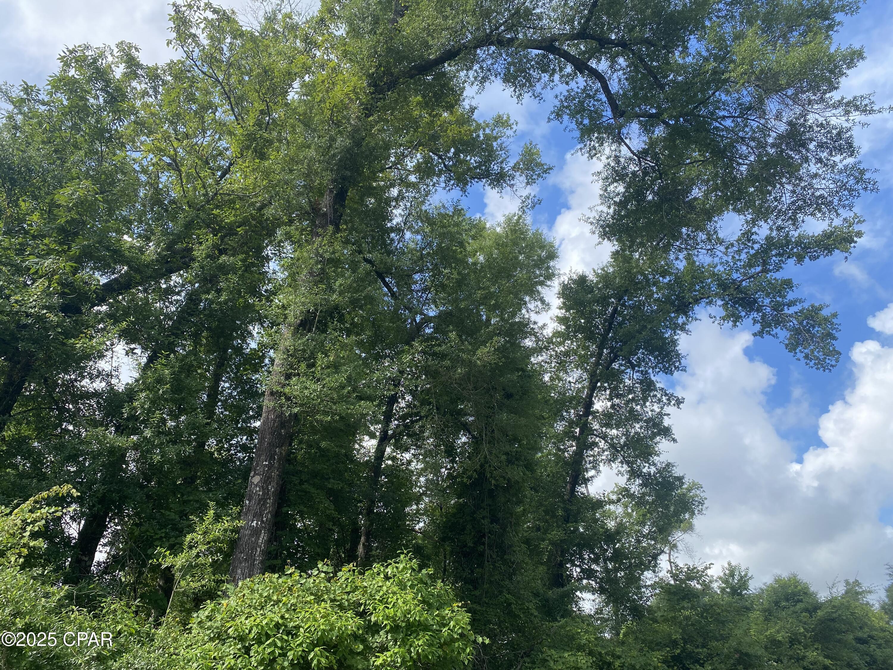 Image 2 For 0000 Oak Drive 13