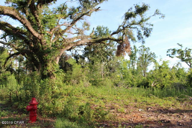 Image 5 For 0 Lafayette Street