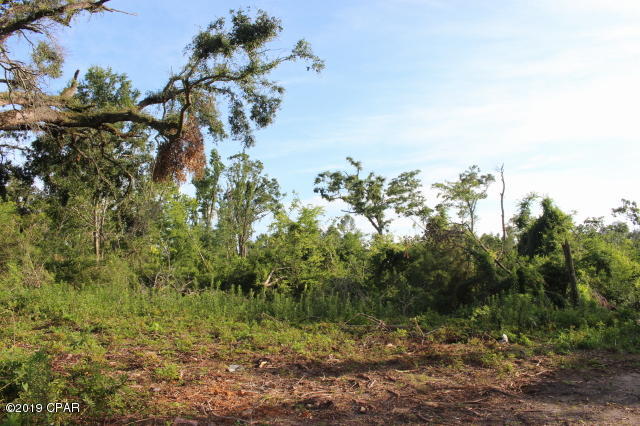 Image 6 For 0 Lafayette Street