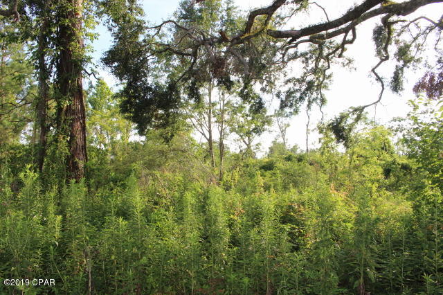 Image 9 For 0 Lafayette Street