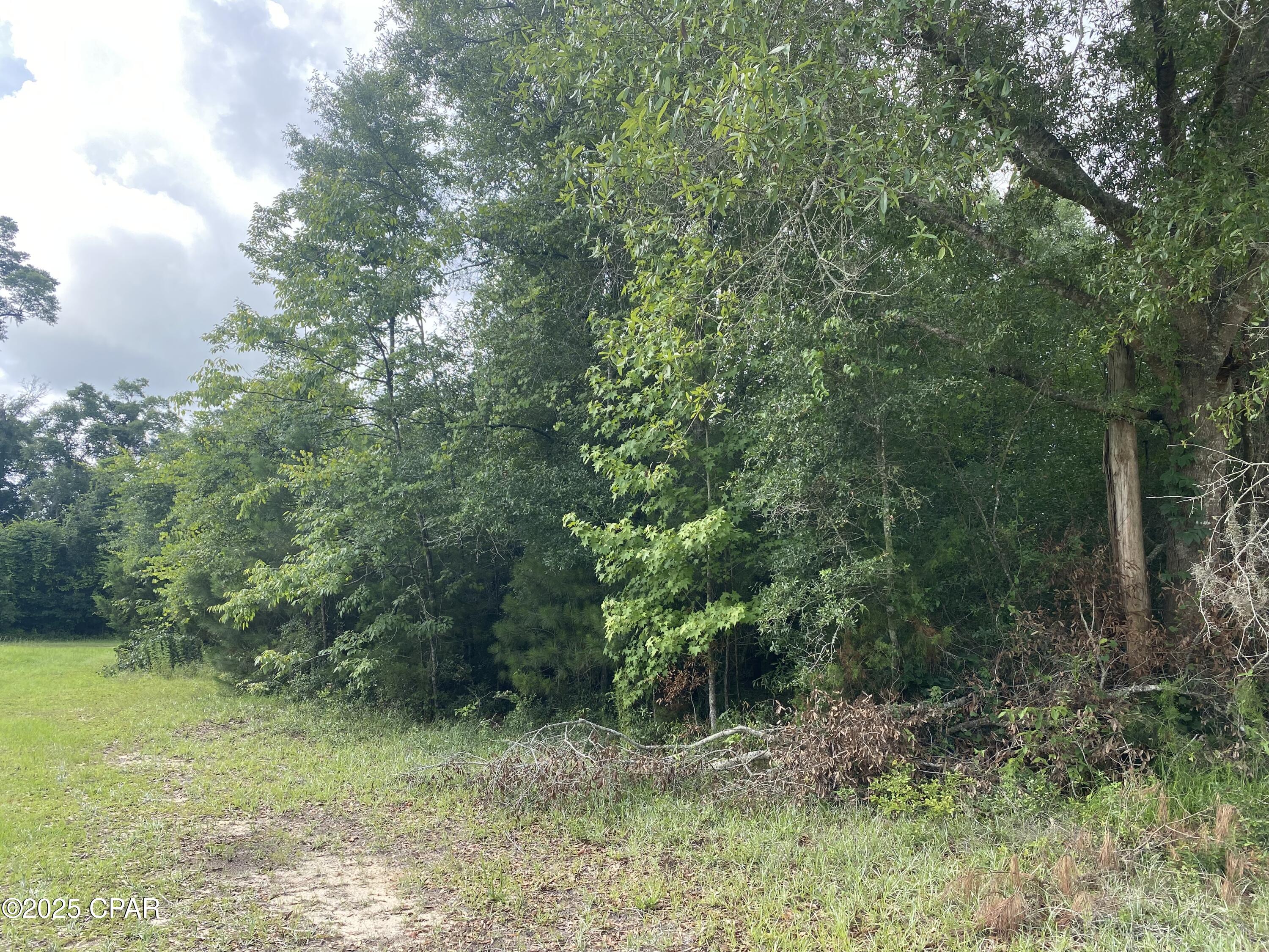 Details for 0000 Robins Way 36, Marianna, FL 32446