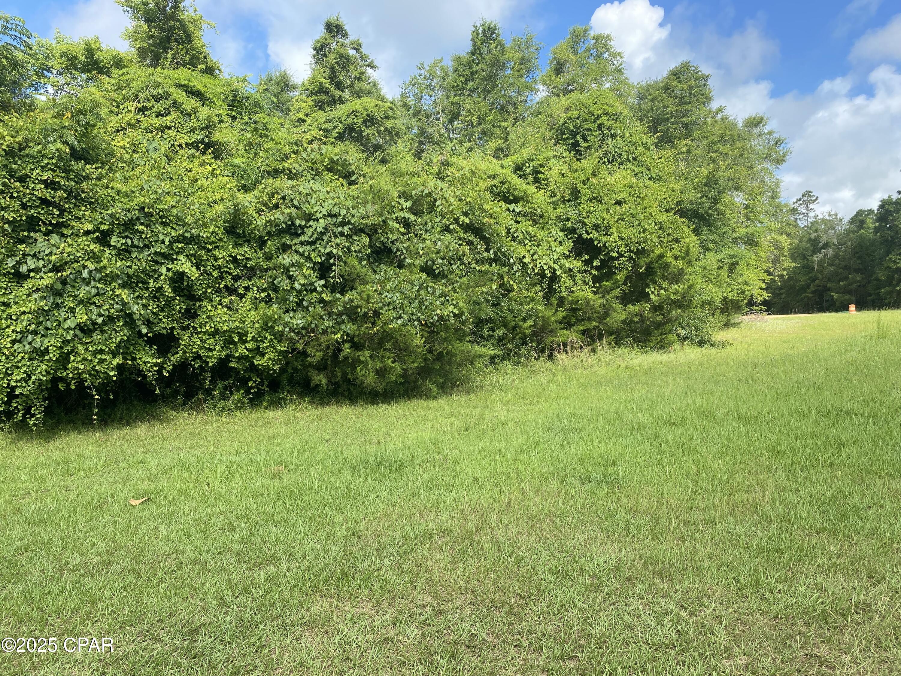 Image 3 For 0000 Robins Way 36