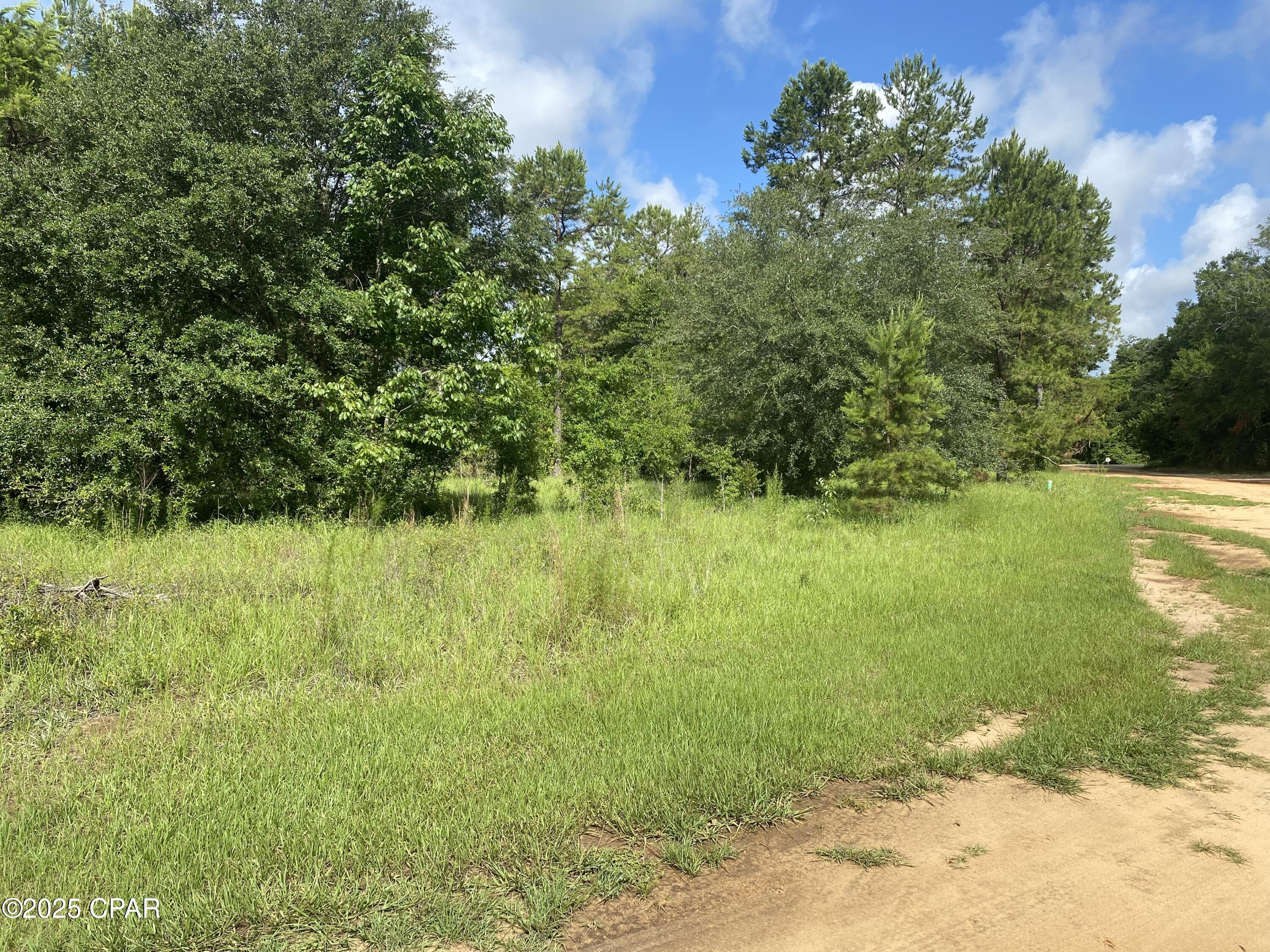 Details for 0000 Oak Drive 35, Marianna, FL 32446