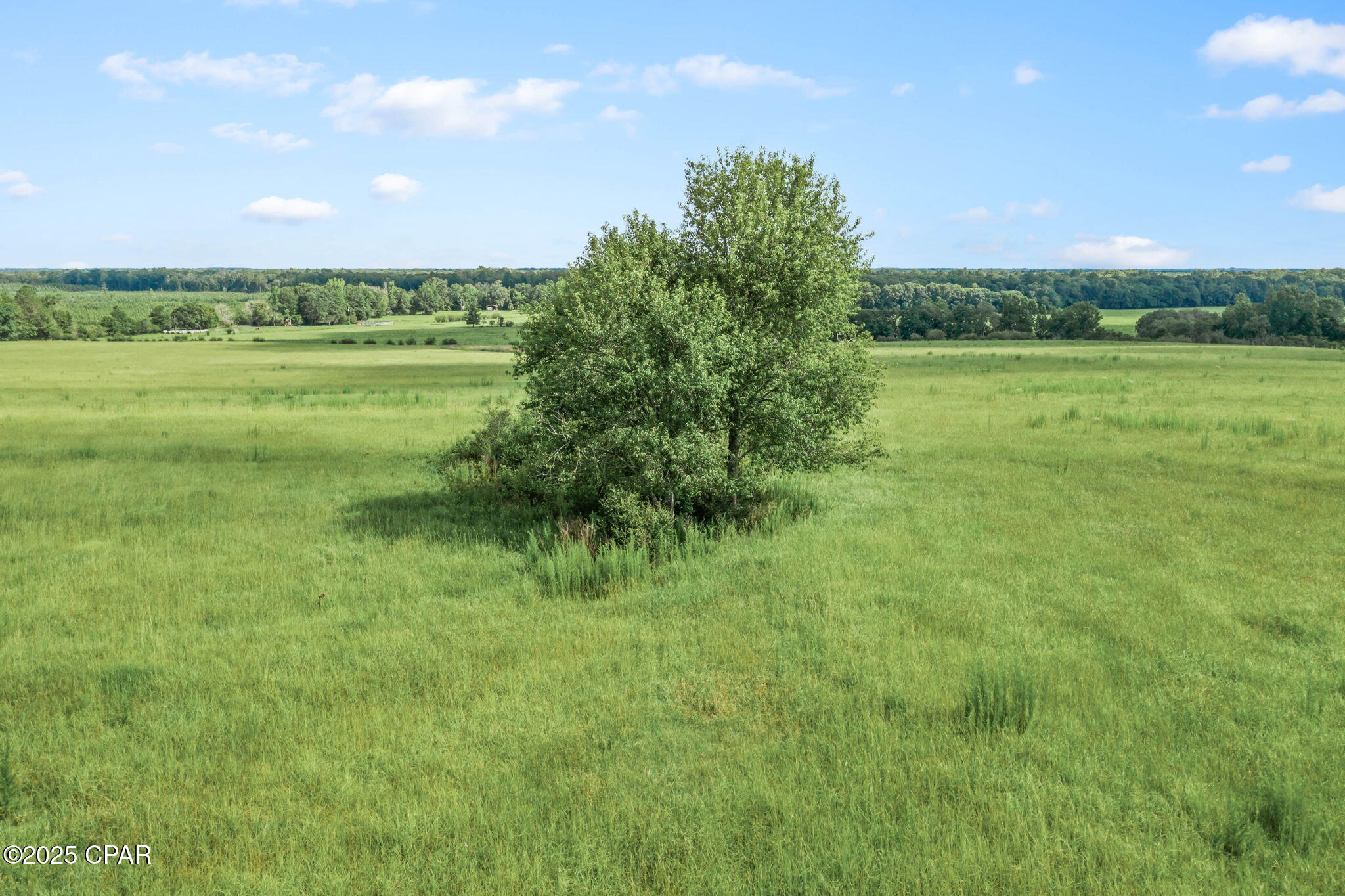 Image 17 For 1080 Arnold Lane