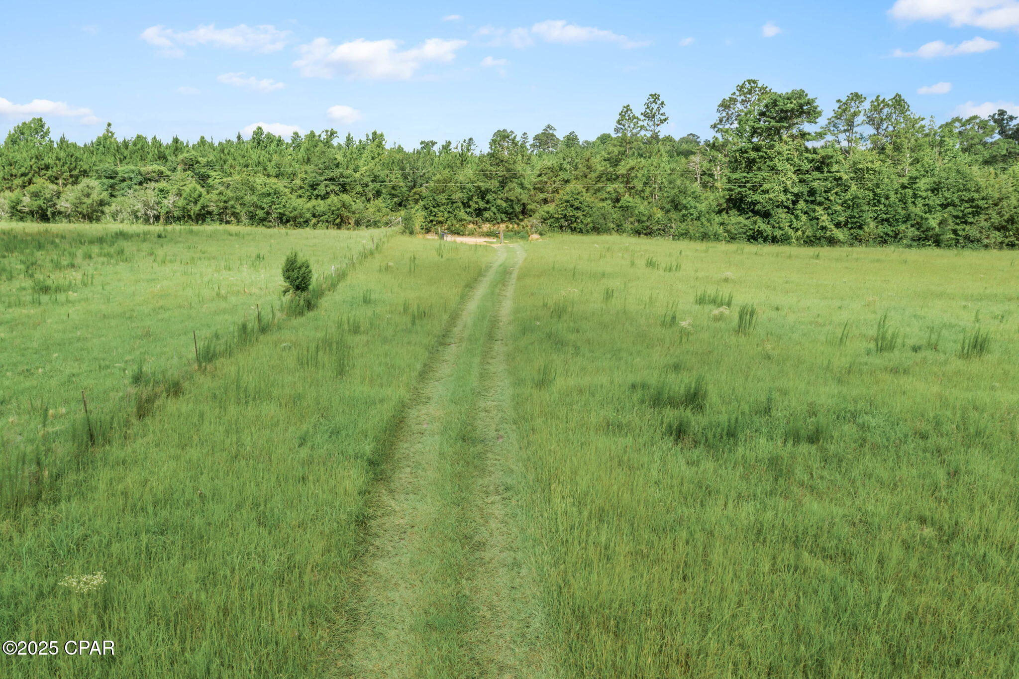 Image 8 For 1080 Arnold Lane