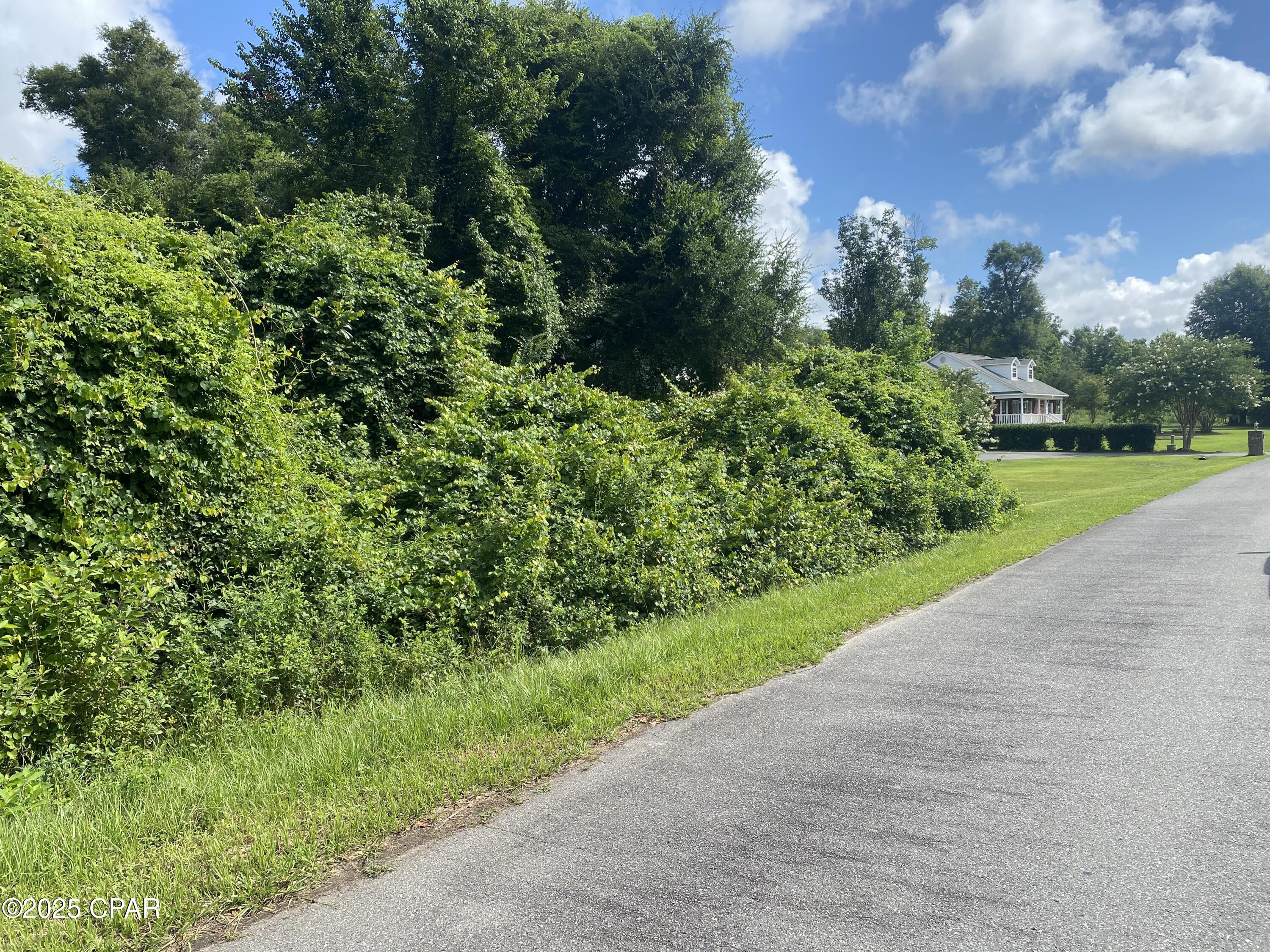 Details for 0000 Magnolia Blossom Lane 16, Marianna, FL 32446