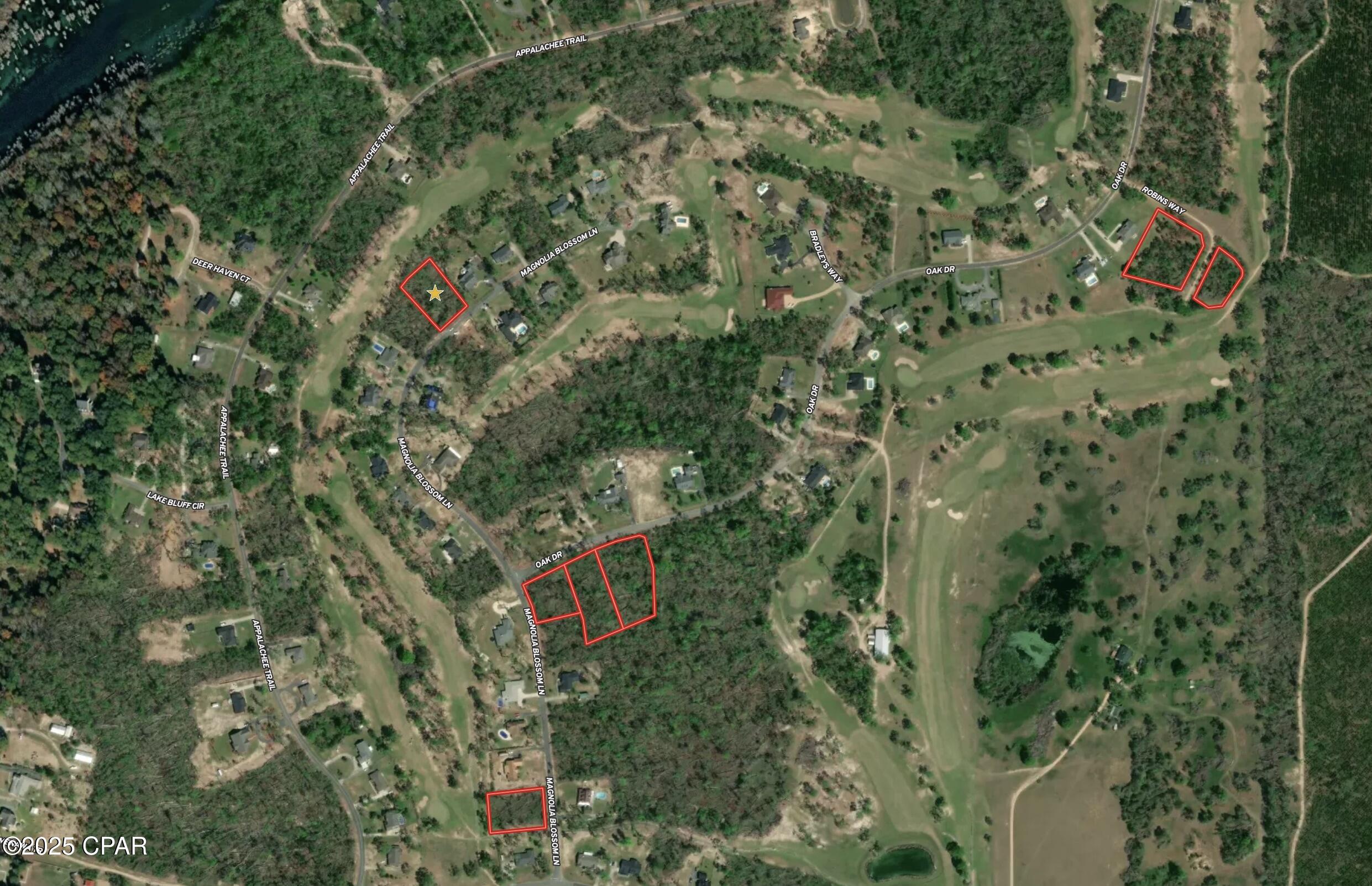 Image 10 For 0000 Magnolia Blossom Lane 16