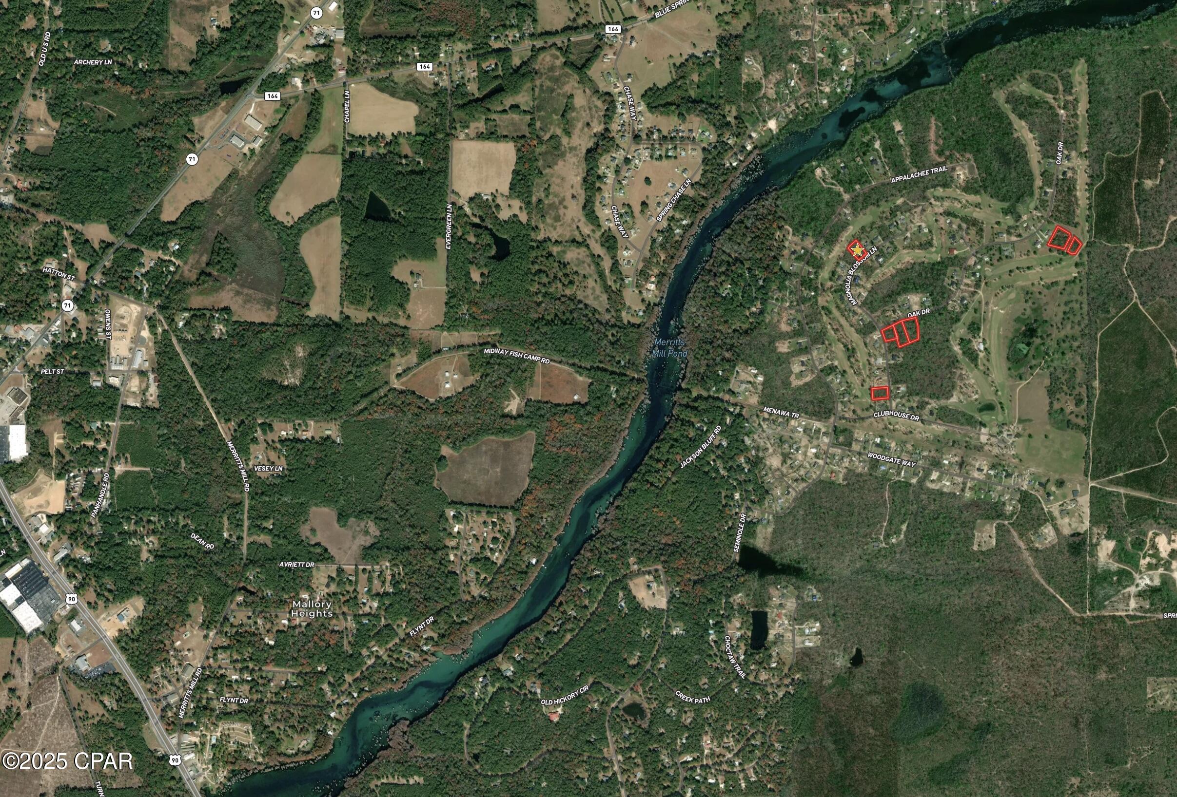 Image 11 For 0000 Magnolia Blossom Lane 16