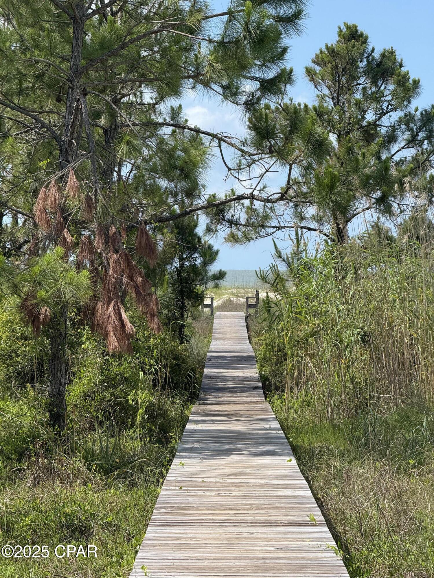 Image 10 For 111 Pluto Way