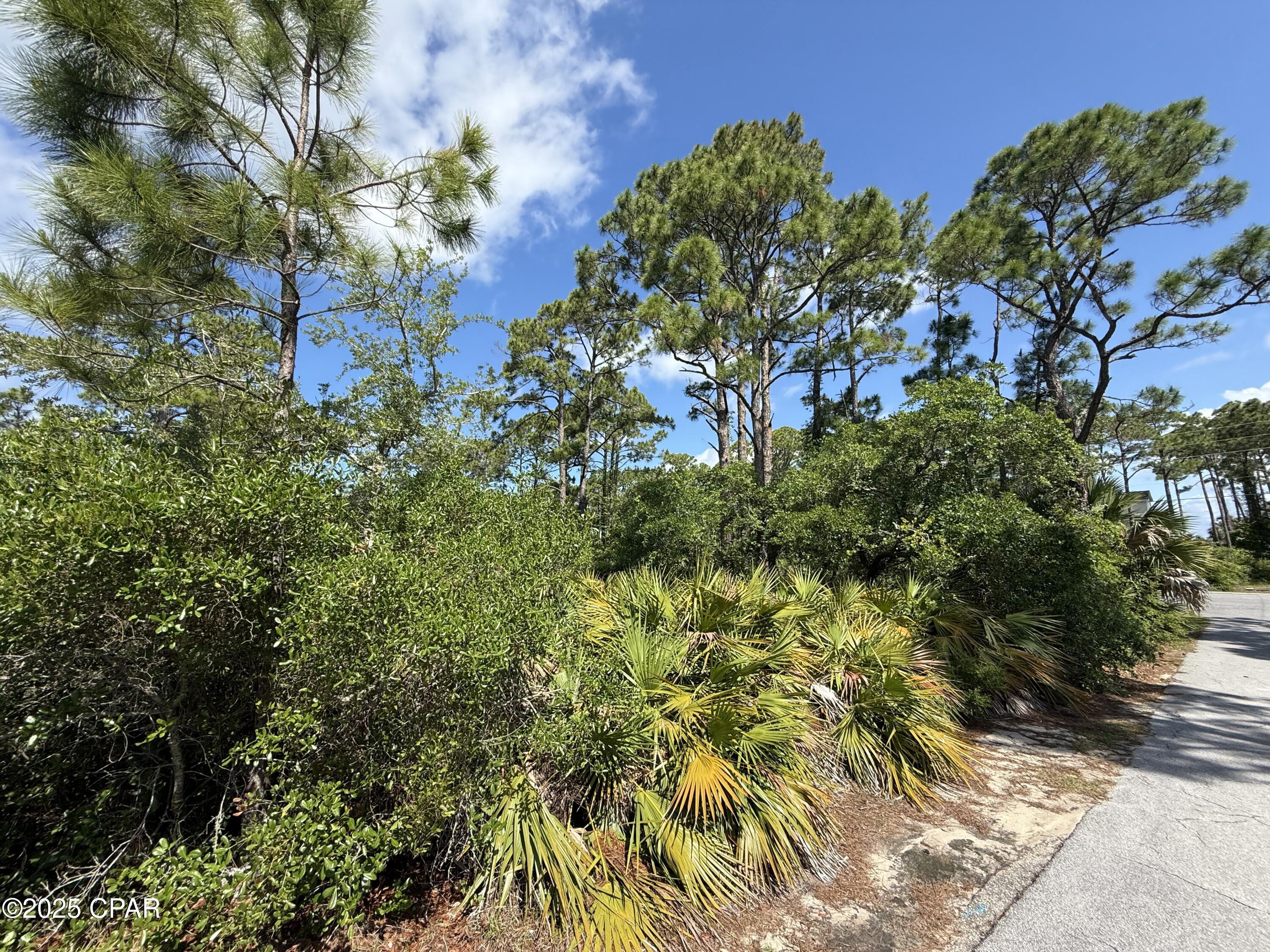 Image 18 For 111 Pluto Way