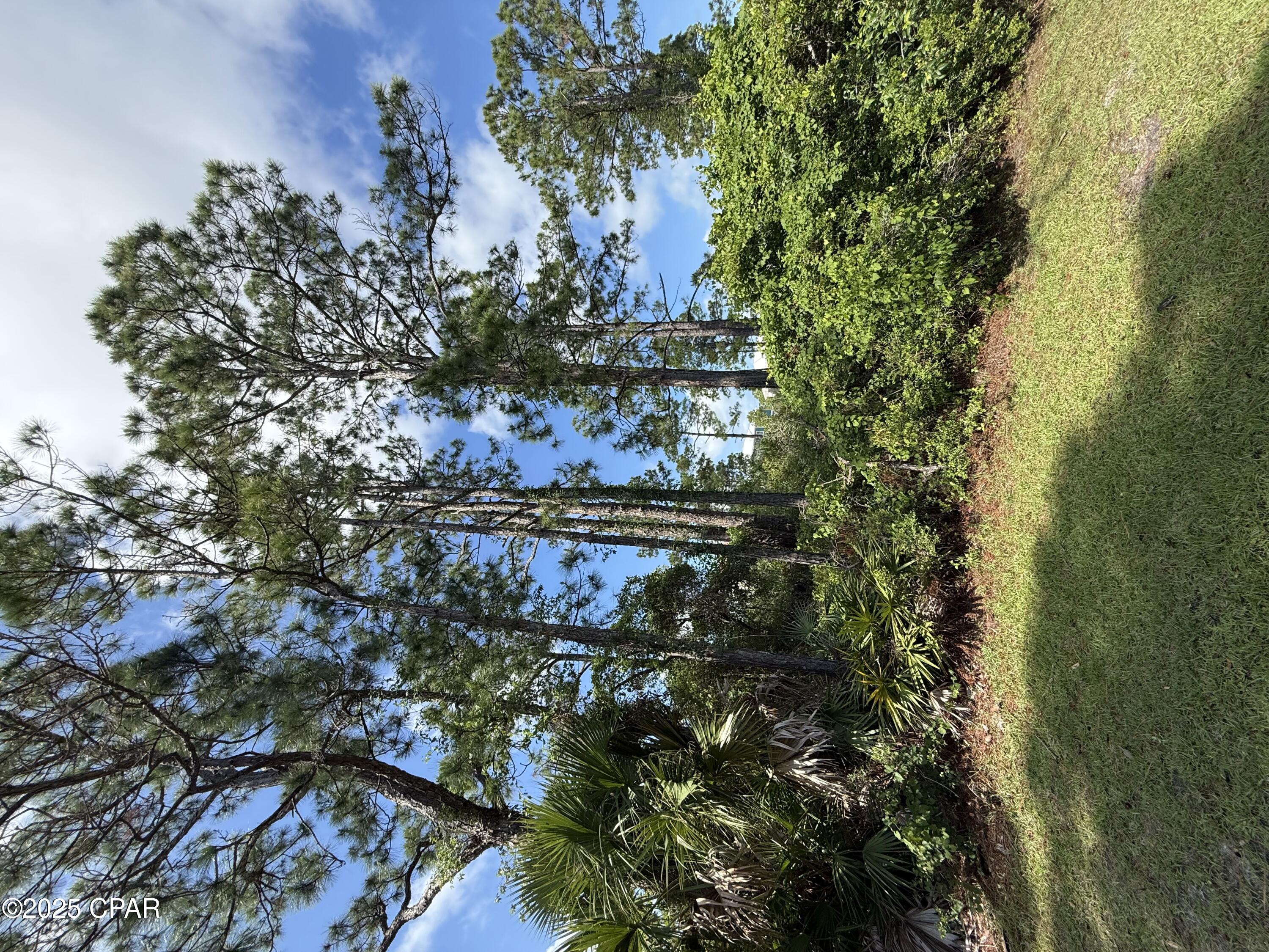 Image 2 For 111 Pluto Way