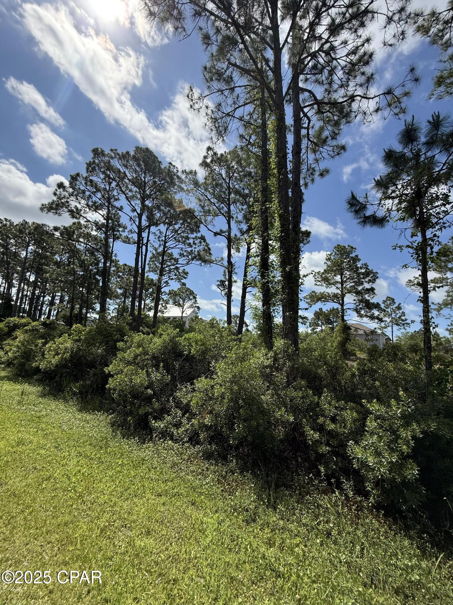 Image 4 For 111 Pluto Way