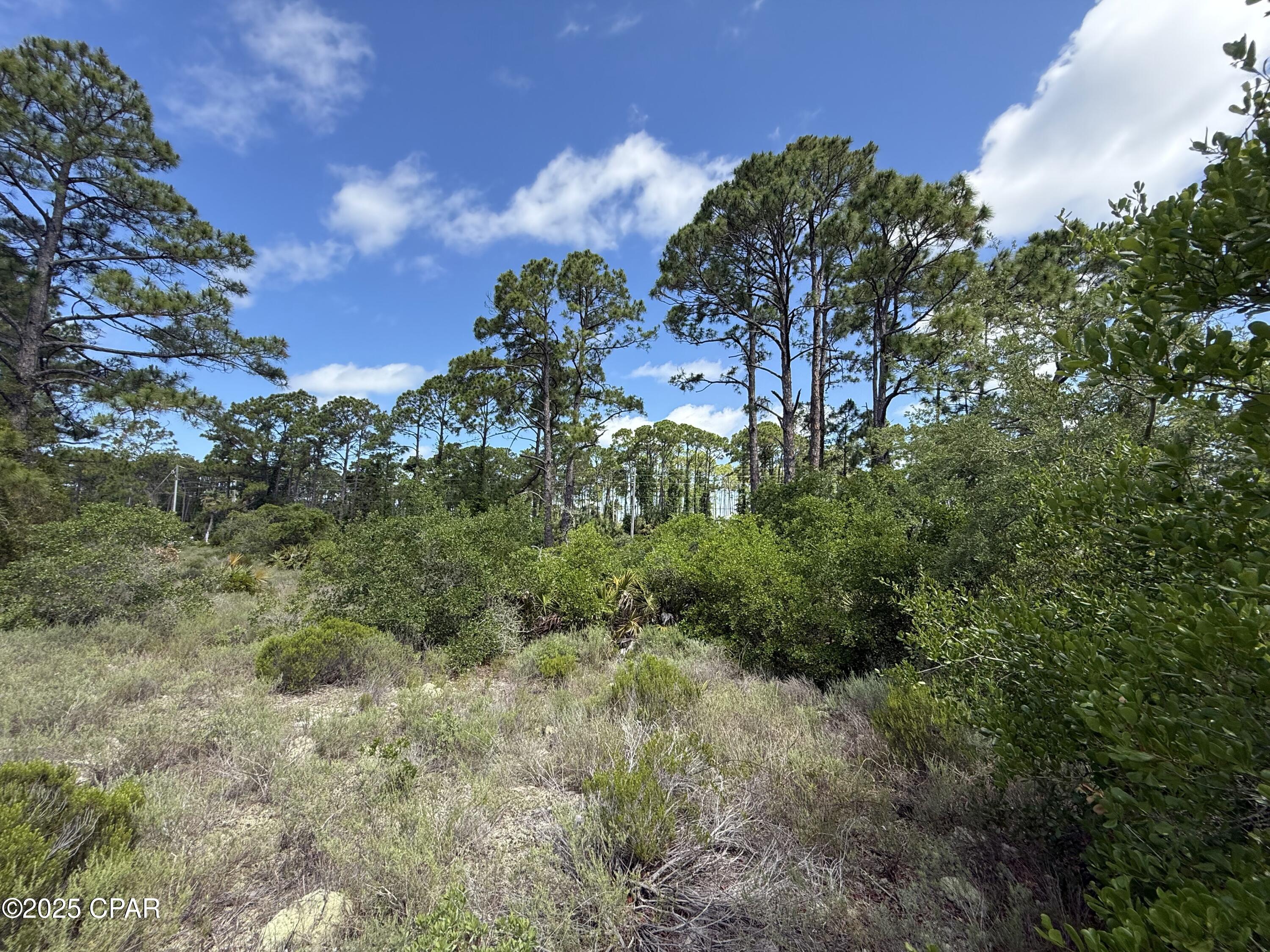 Image 6 For 111 Pluto Way