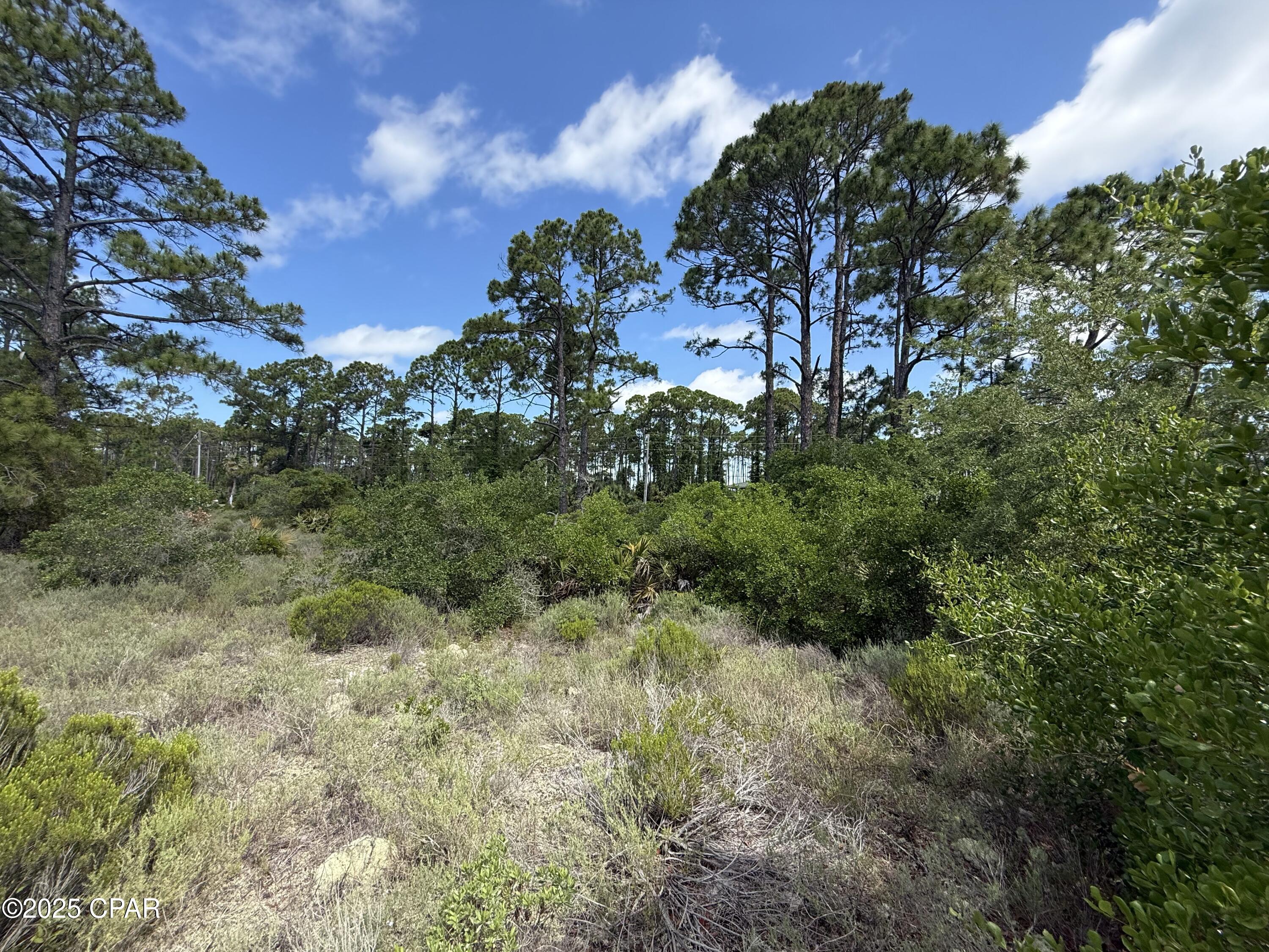 Image 7 For 111 Pluto Way