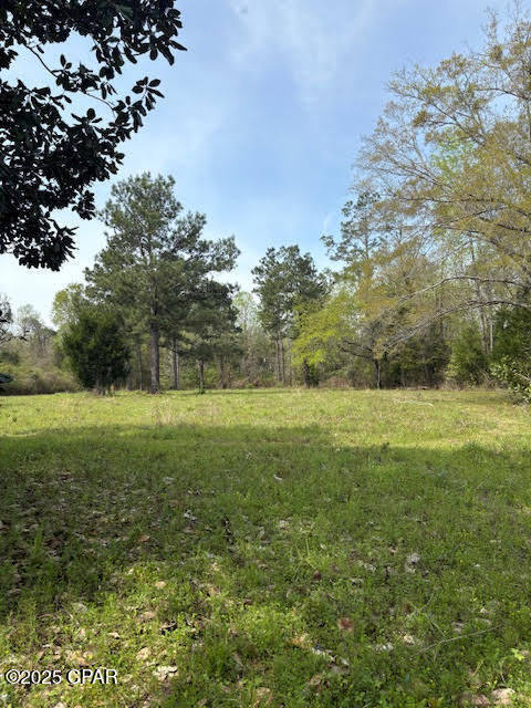 Image 72 For 5495 Highway 90