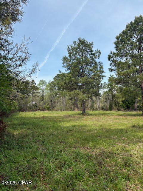 Image 78 For 5495 Highway 90