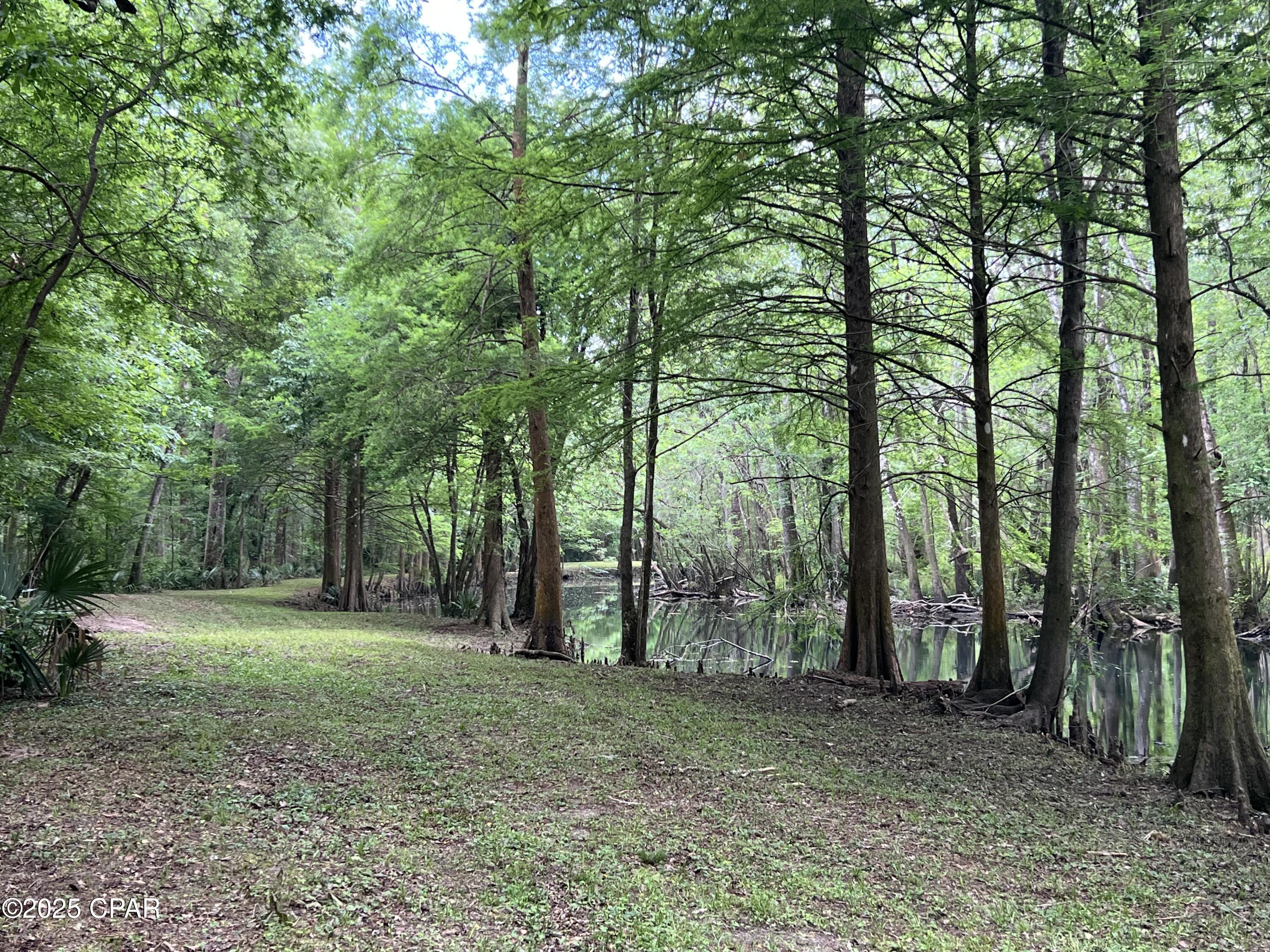 Image 12 For 000 79 Highway