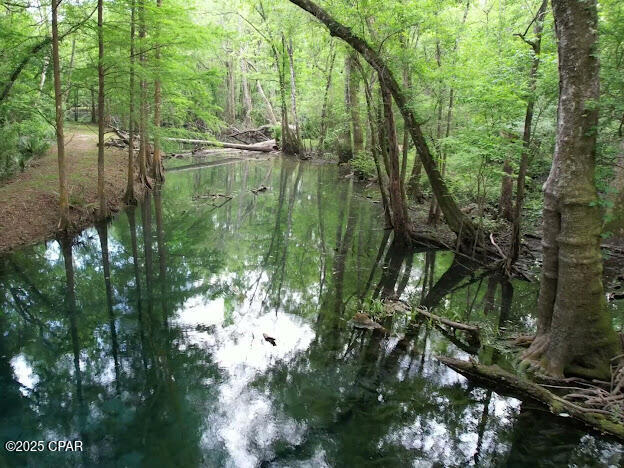 Image 3 For 000 79 Highway