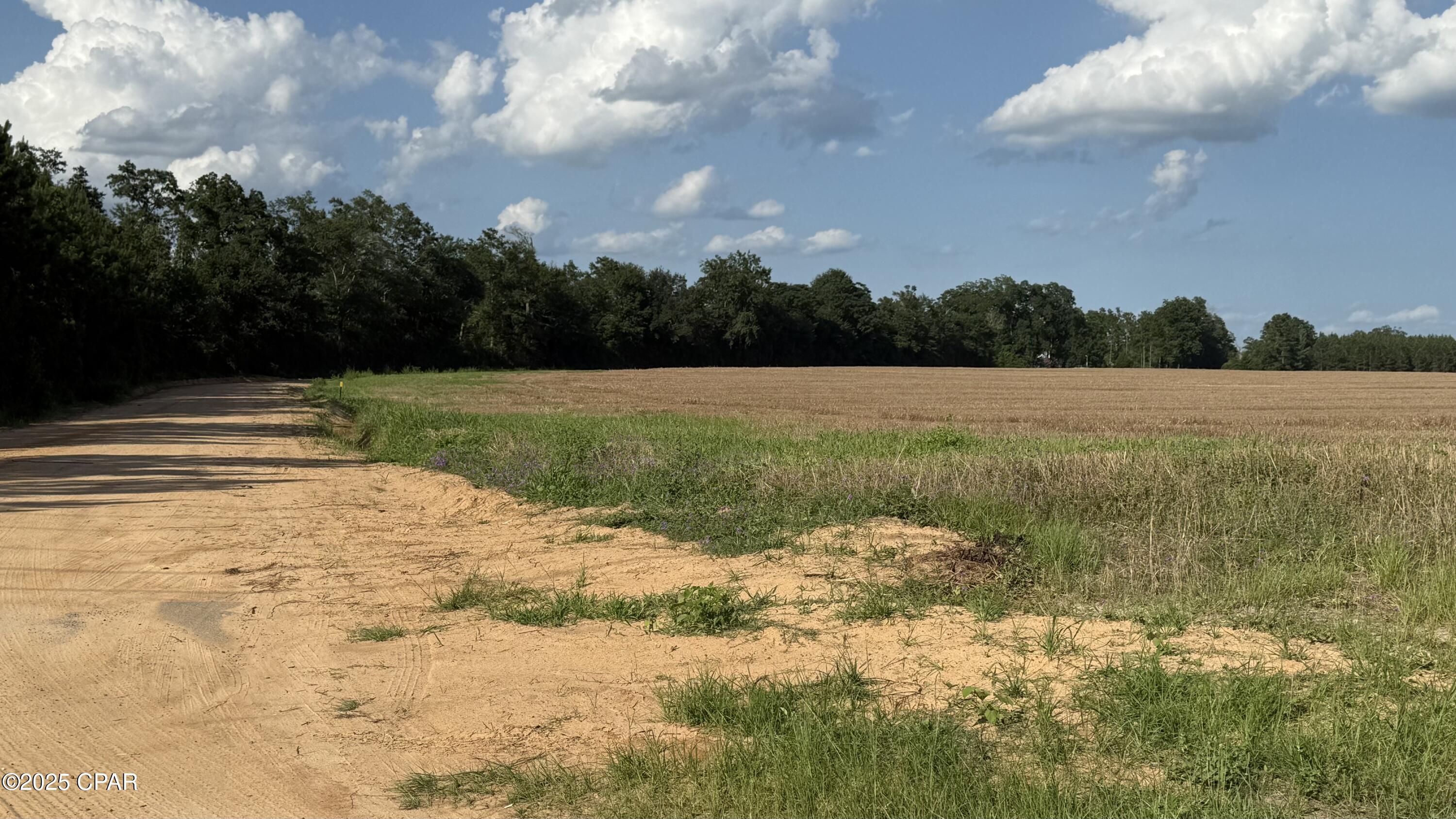 Image 2 For 00 Sr-71  