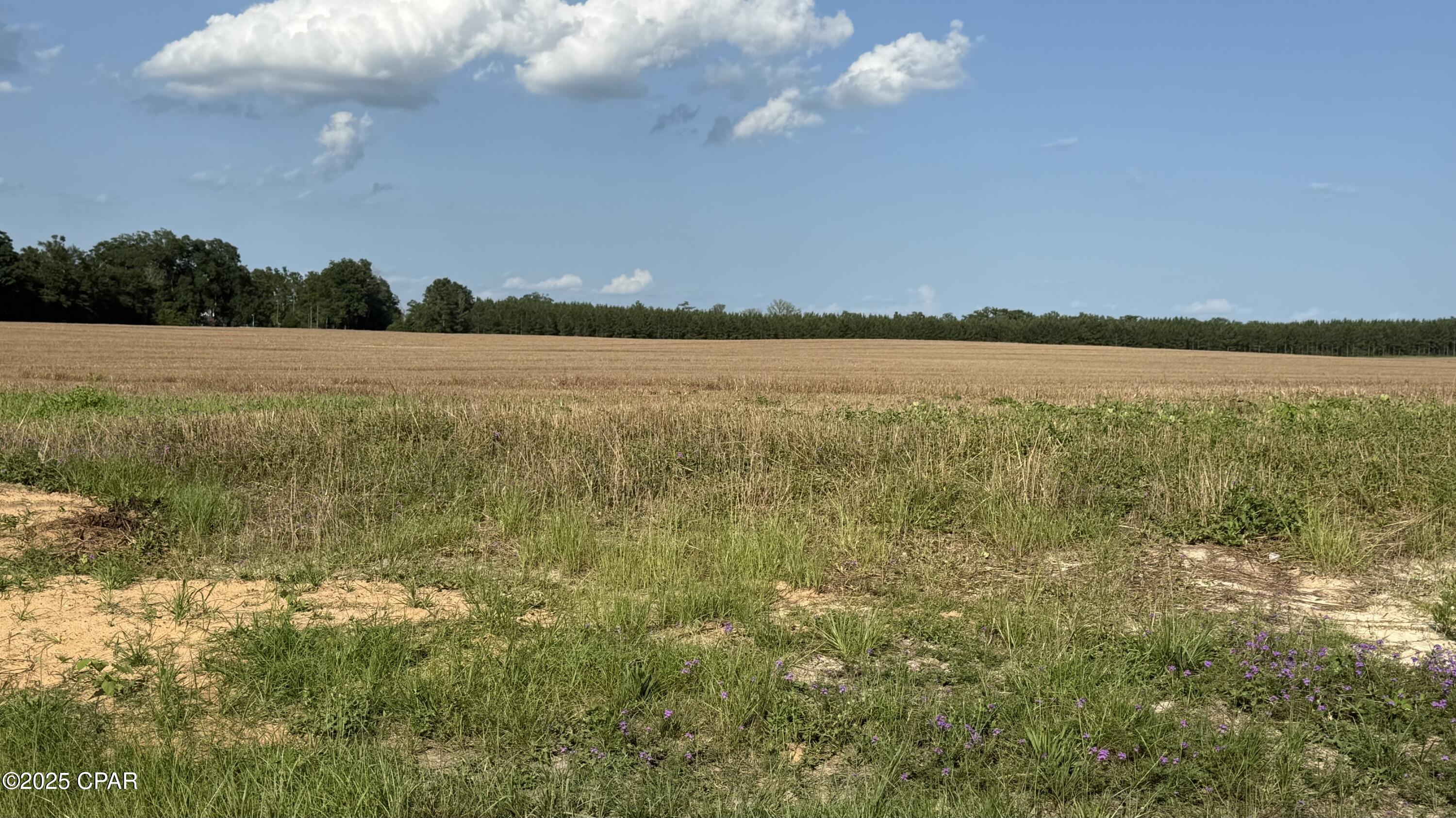 Image 3 For 00 Sr-71  