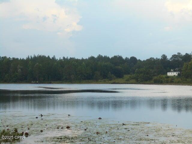 Image 2 For 000 Drury Lane