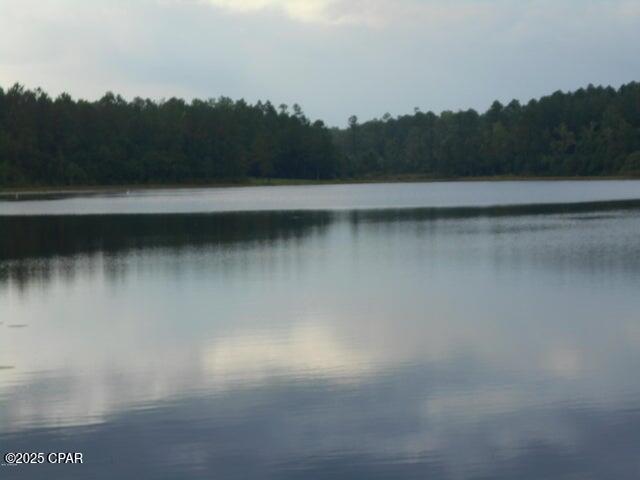 Image 3 For 000 Drury Lane