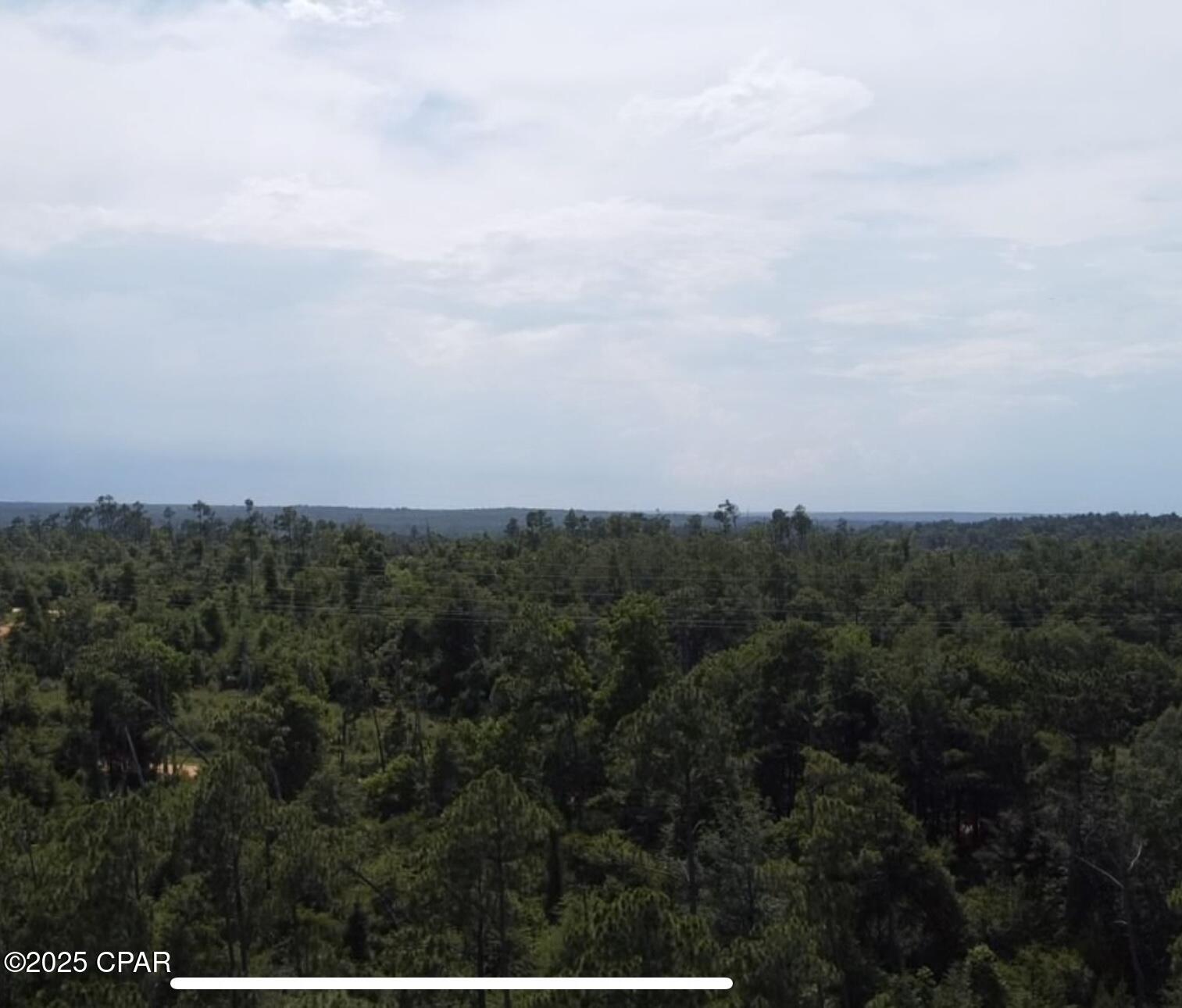 Details for 0 Edison Avenue, Alford, FL 32420