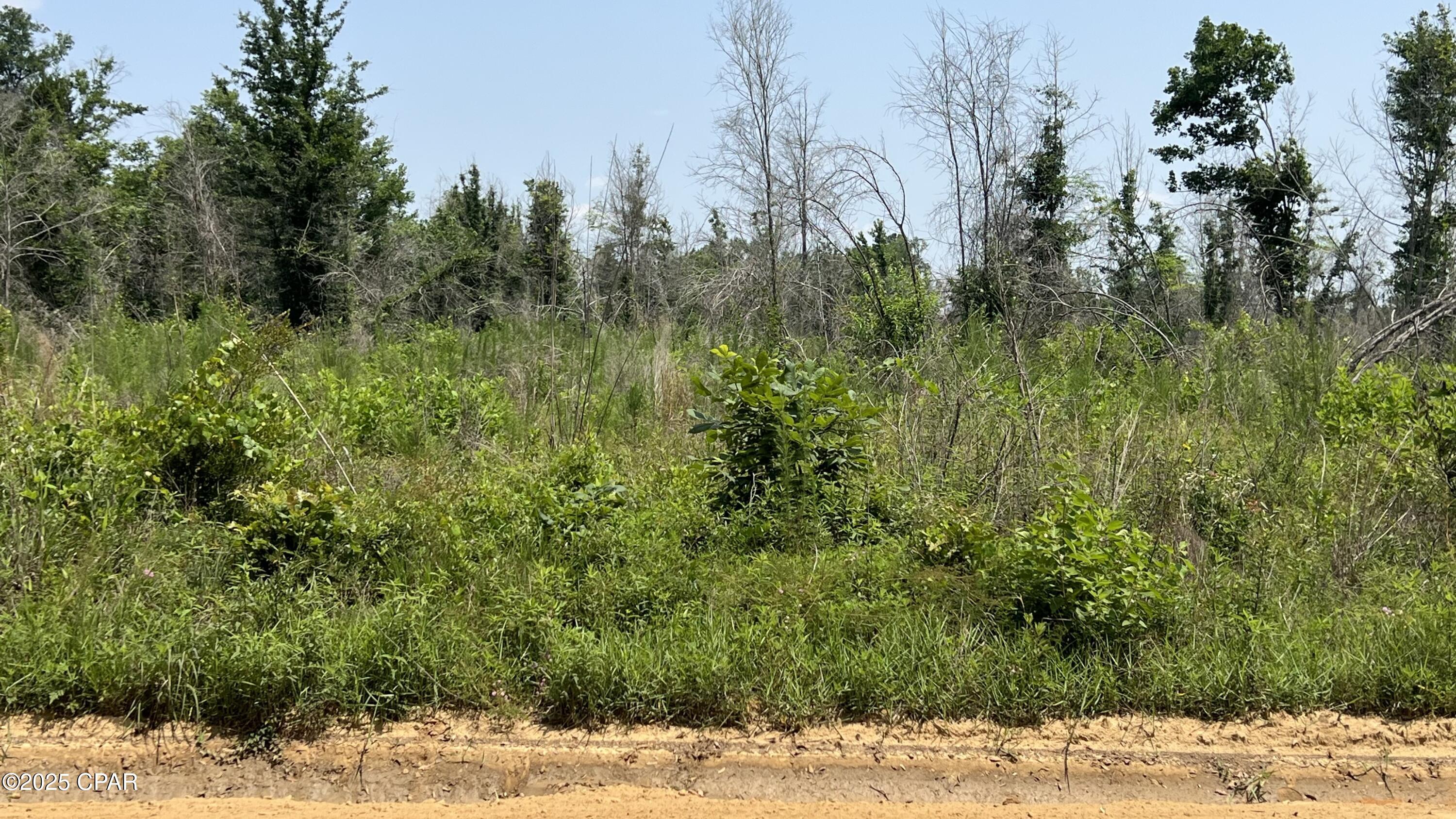 Image 3 For 00 Christmas Road