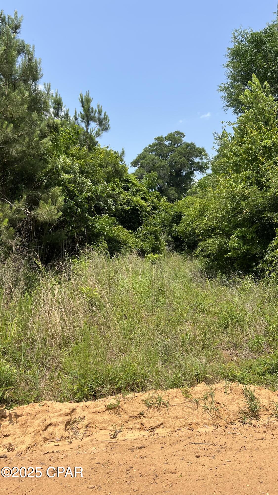 Image 4 For 00 Christmas Road