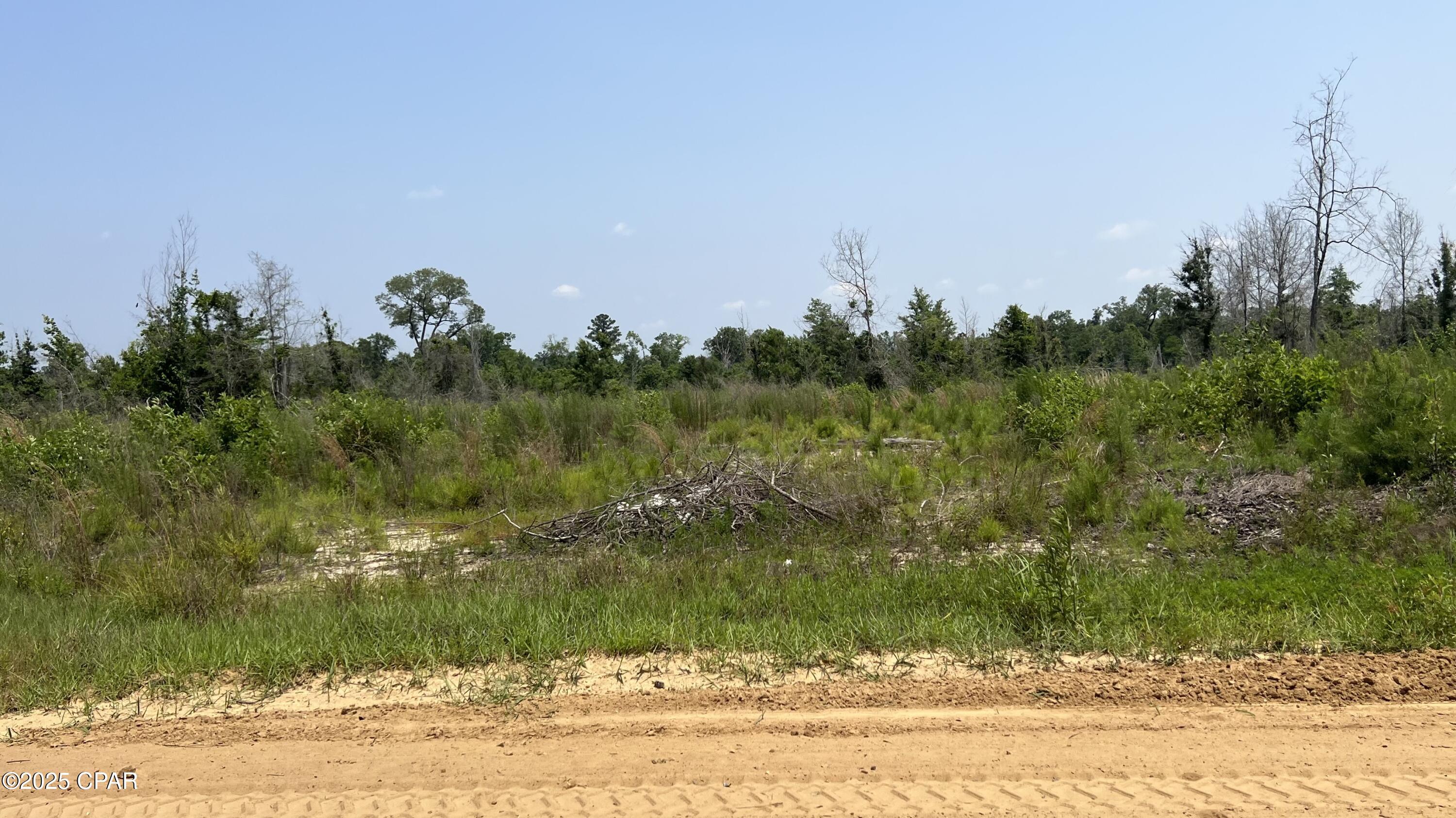 Image 6 For 00 Christmas Road