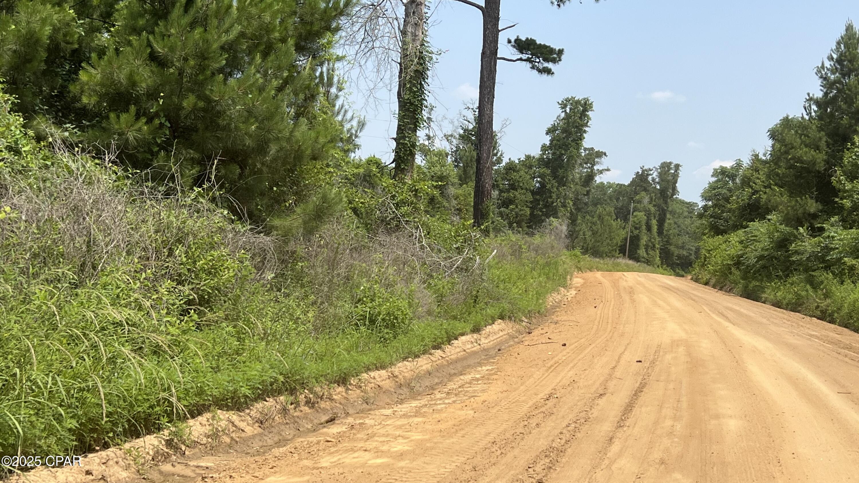 Image 7 For 00 Christmas Road