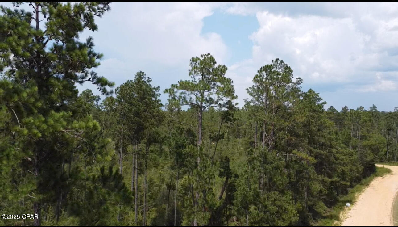 Details for 0 Black Hills Street, Alford, FL 32420