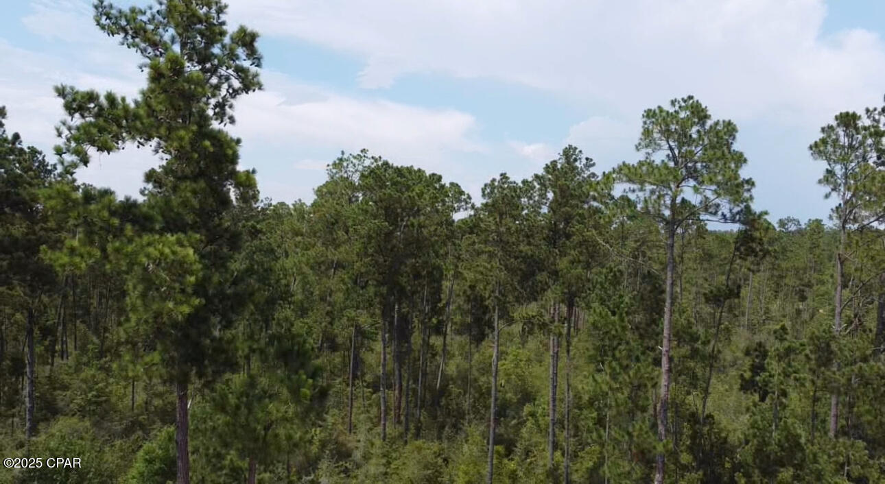 Image 2 For 0 Black Hills Street