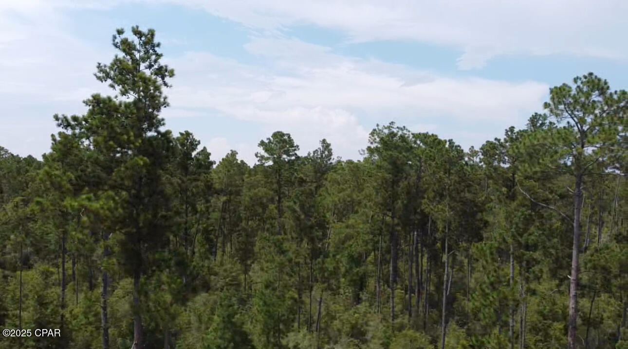 Image 3 For 0 Black Hills Street