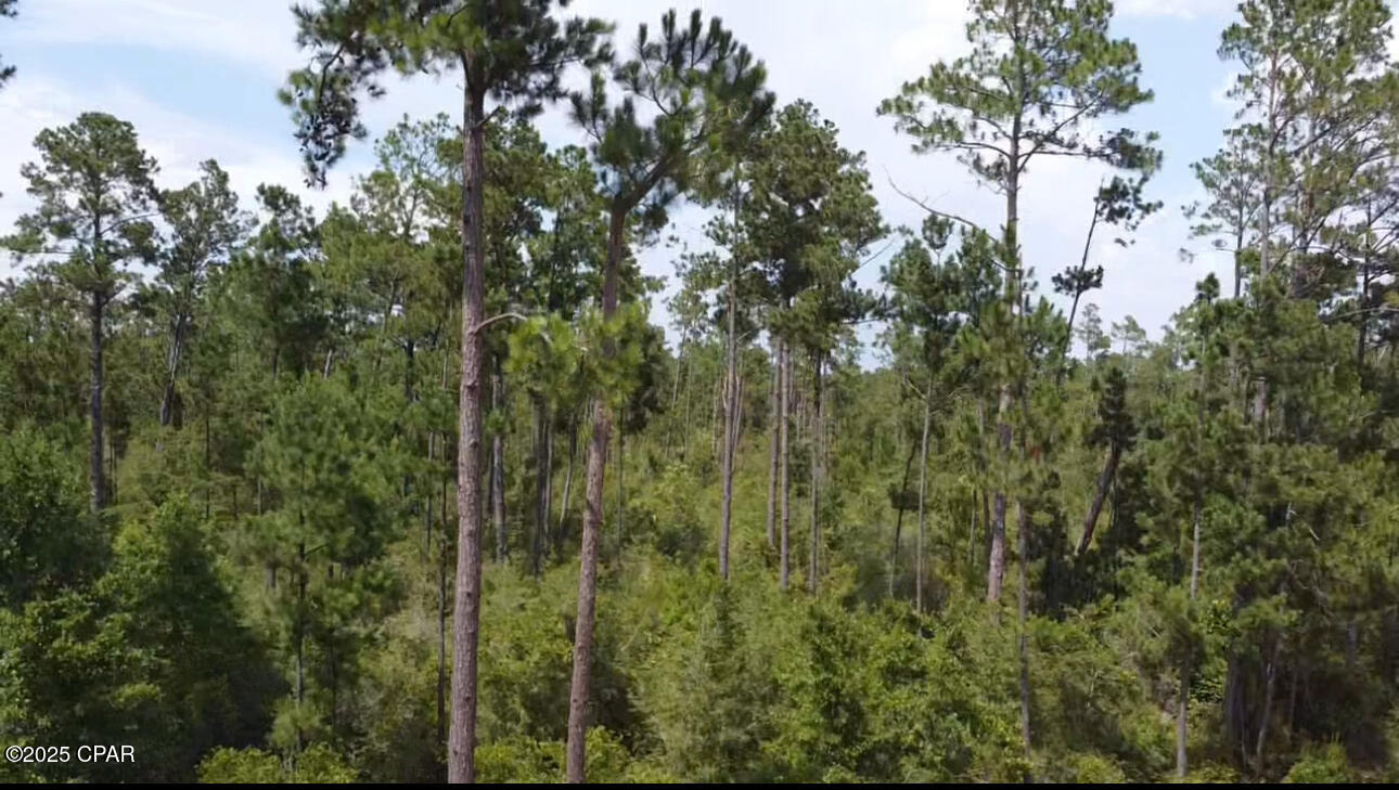 Image 4 For 0 Black Hills Street