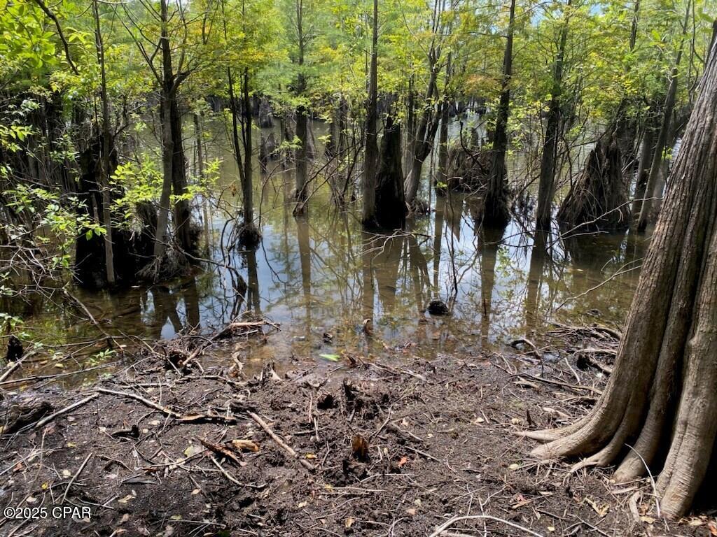 Image 11 For 587 Texas Street