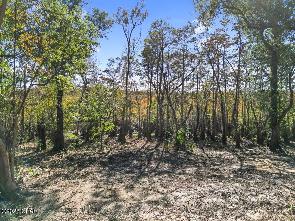 Image 15 For 587 Texas Street