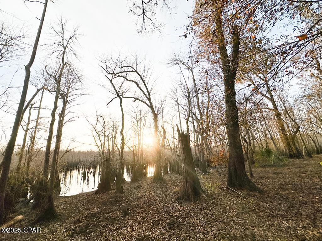 Image 17 For 587 Texas Street