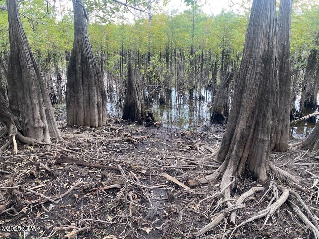 Image 7 For 587 Texas Street