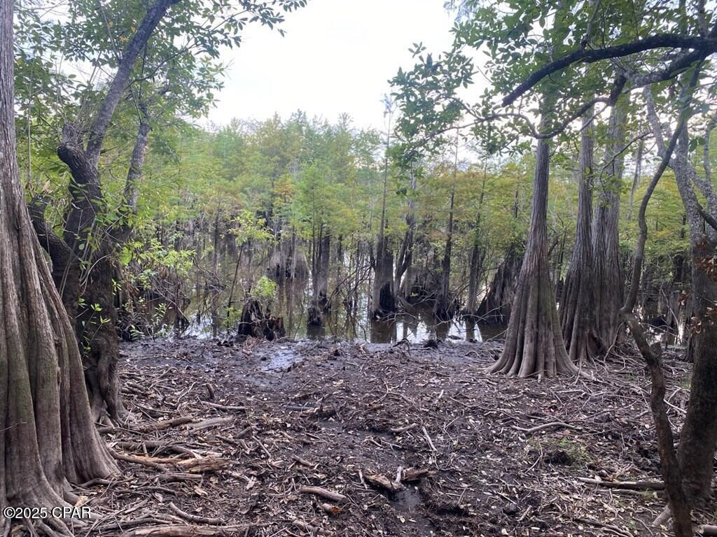 Image 8 For 587 Texas Street